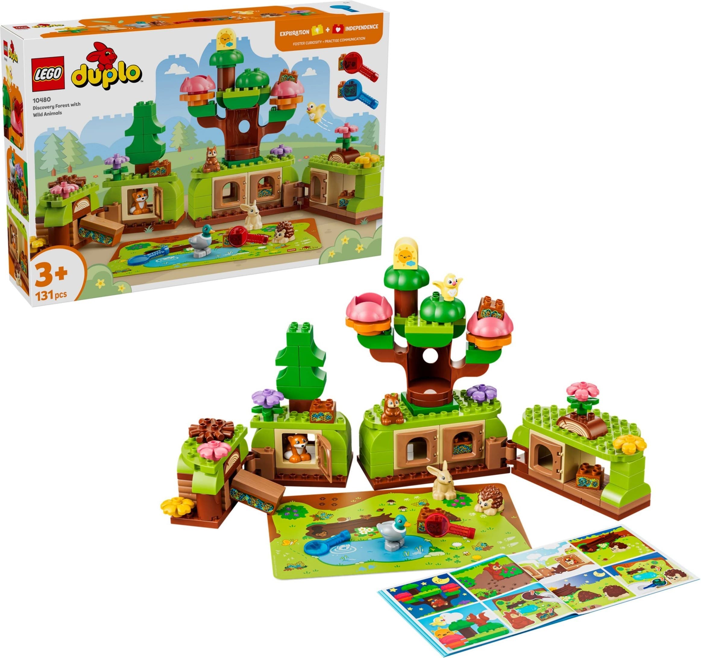 Discovery Forest with Wild Animals