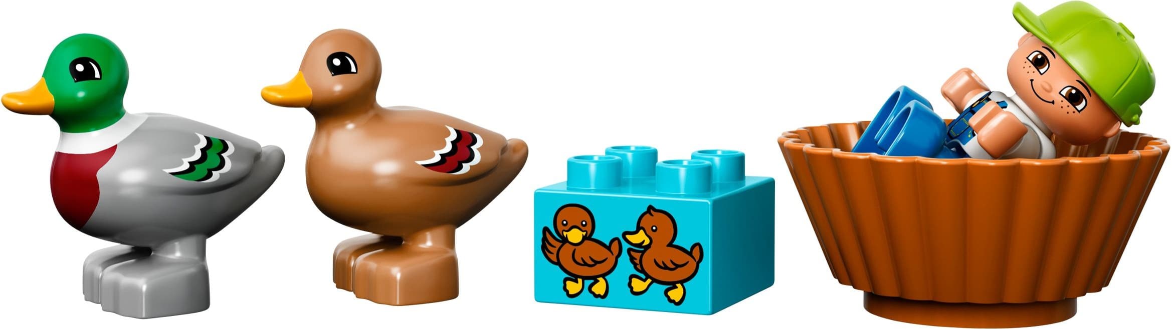 Forest: Ducks