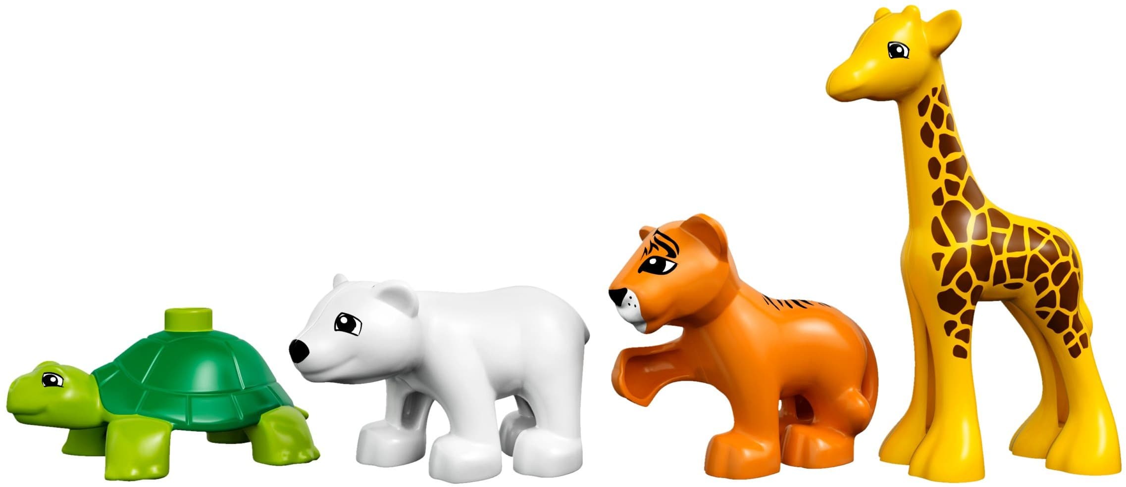 Baby Animals