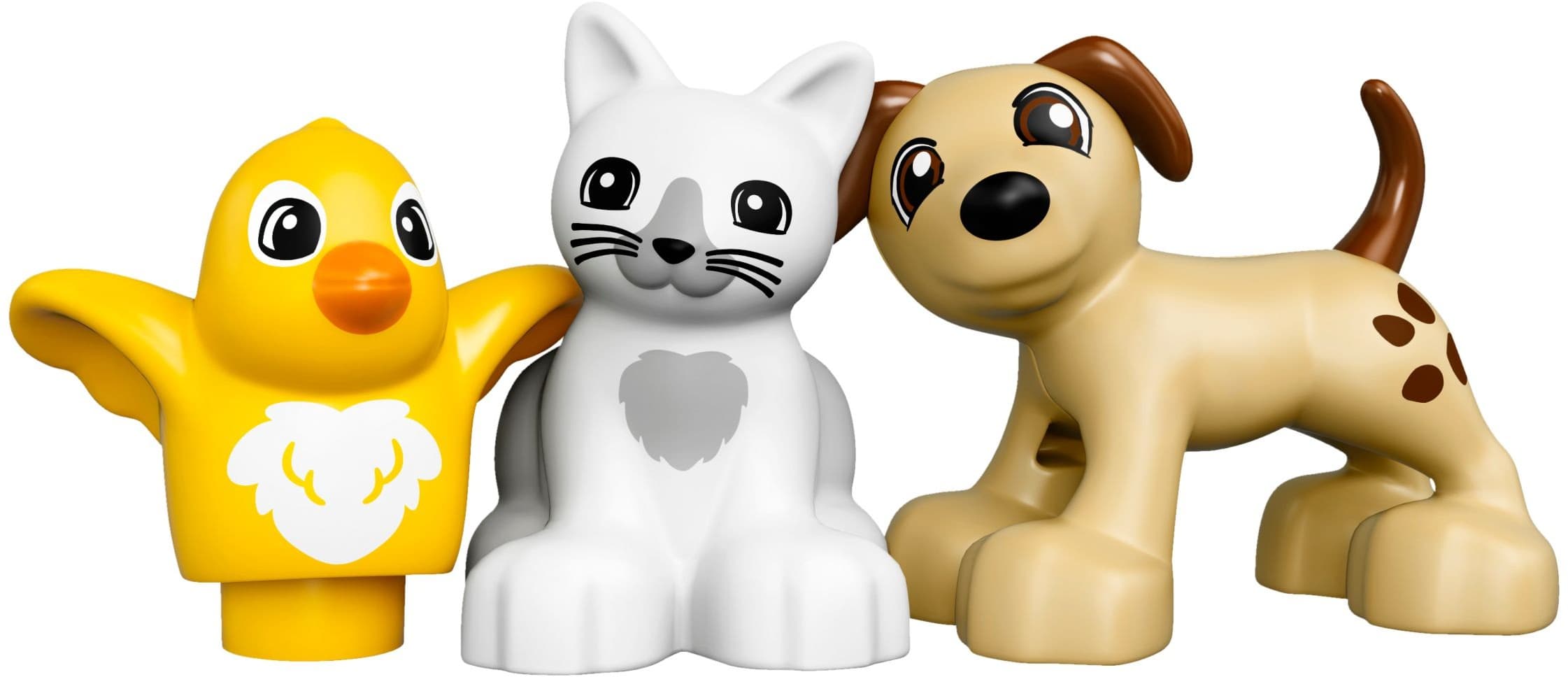 Family Pets