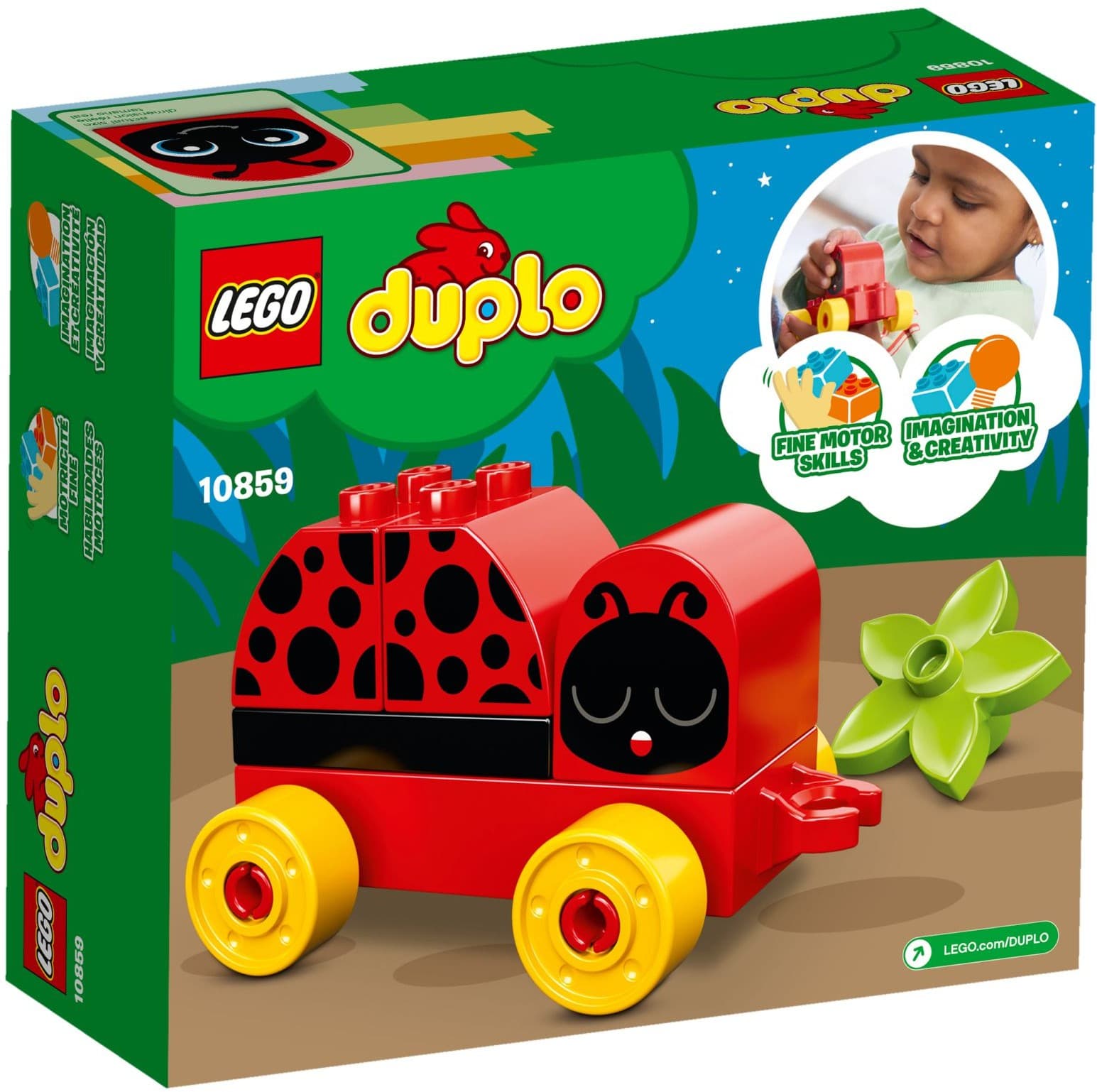 My First Ladybug