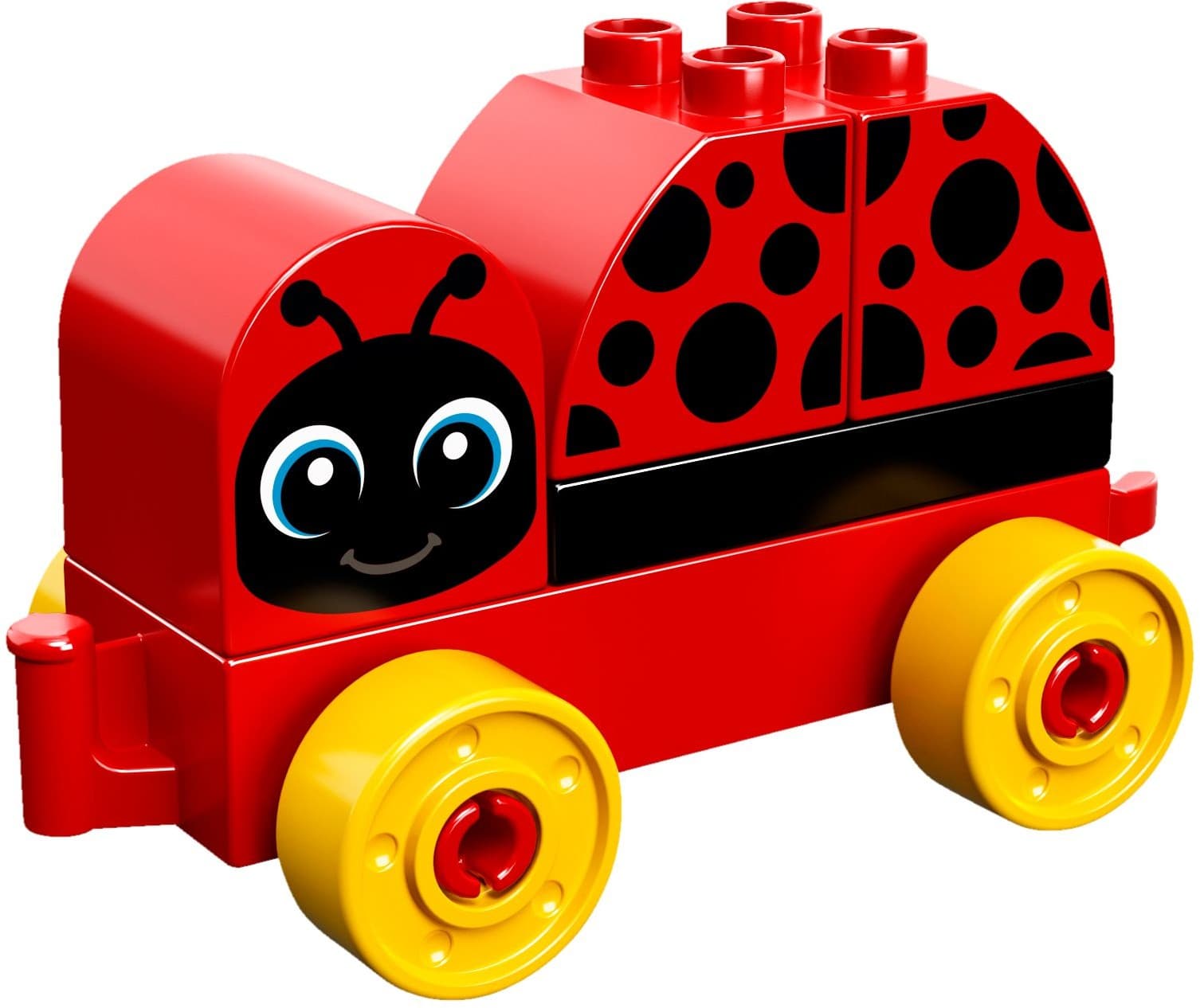 My First Ladybug