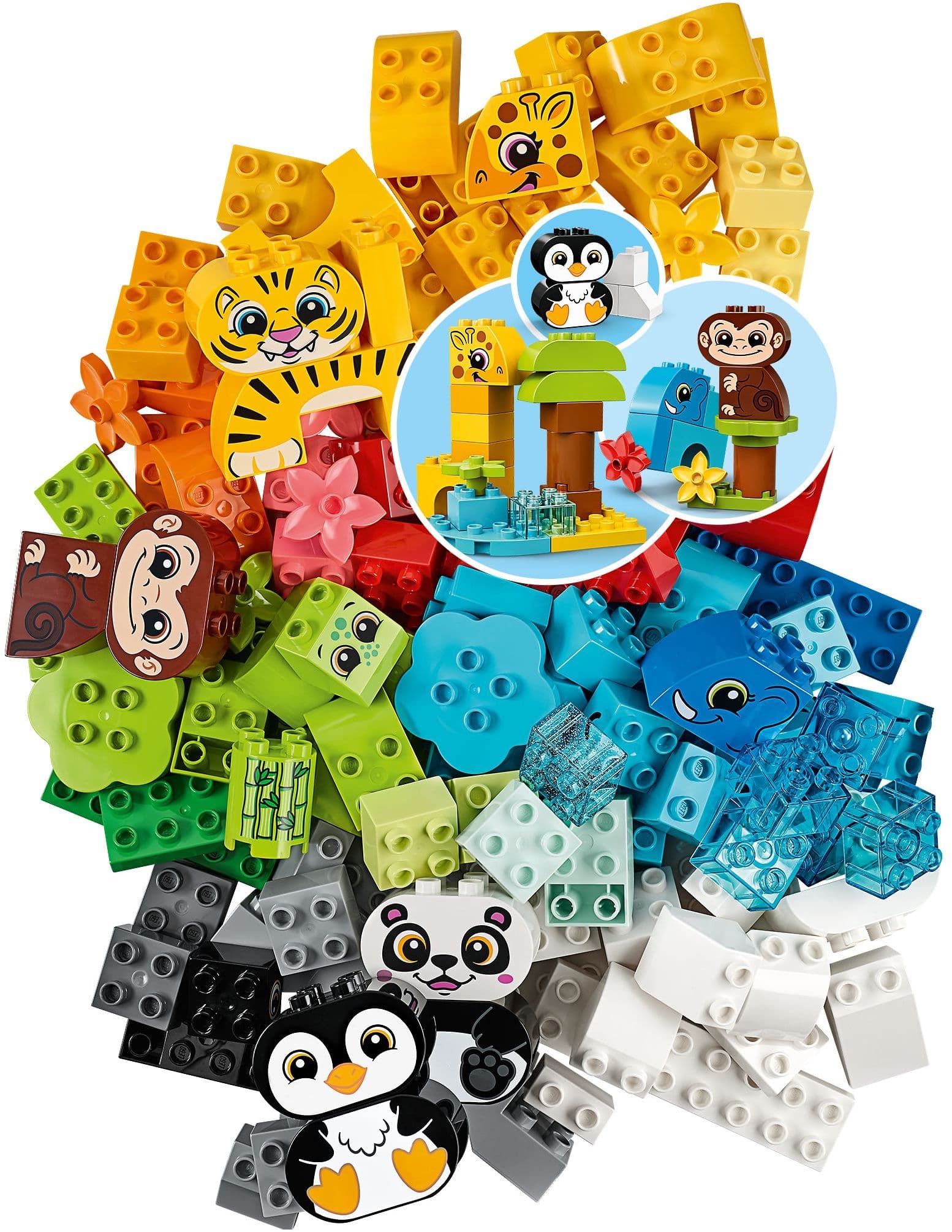 Creative Animals
