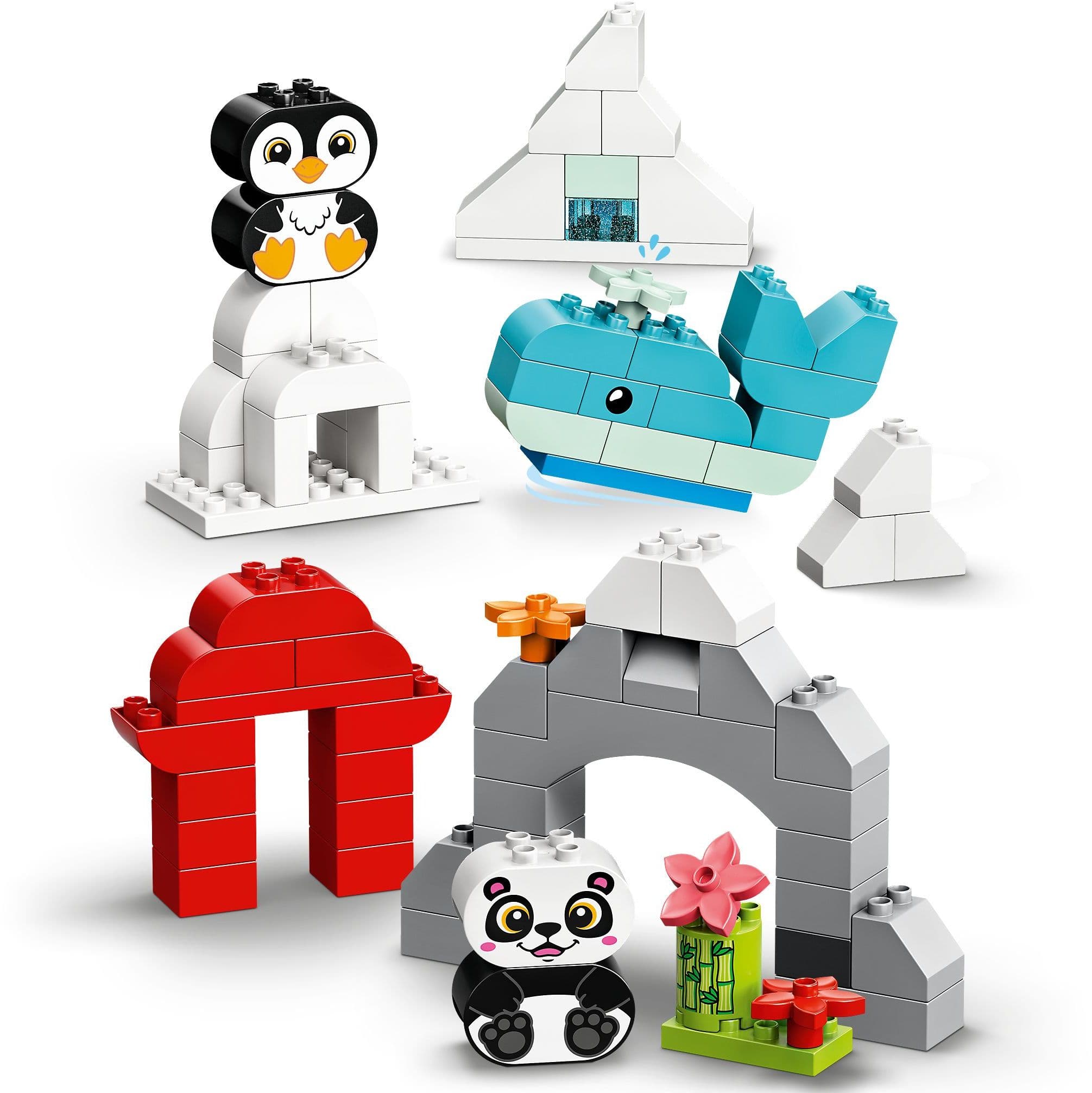 Creative Animals