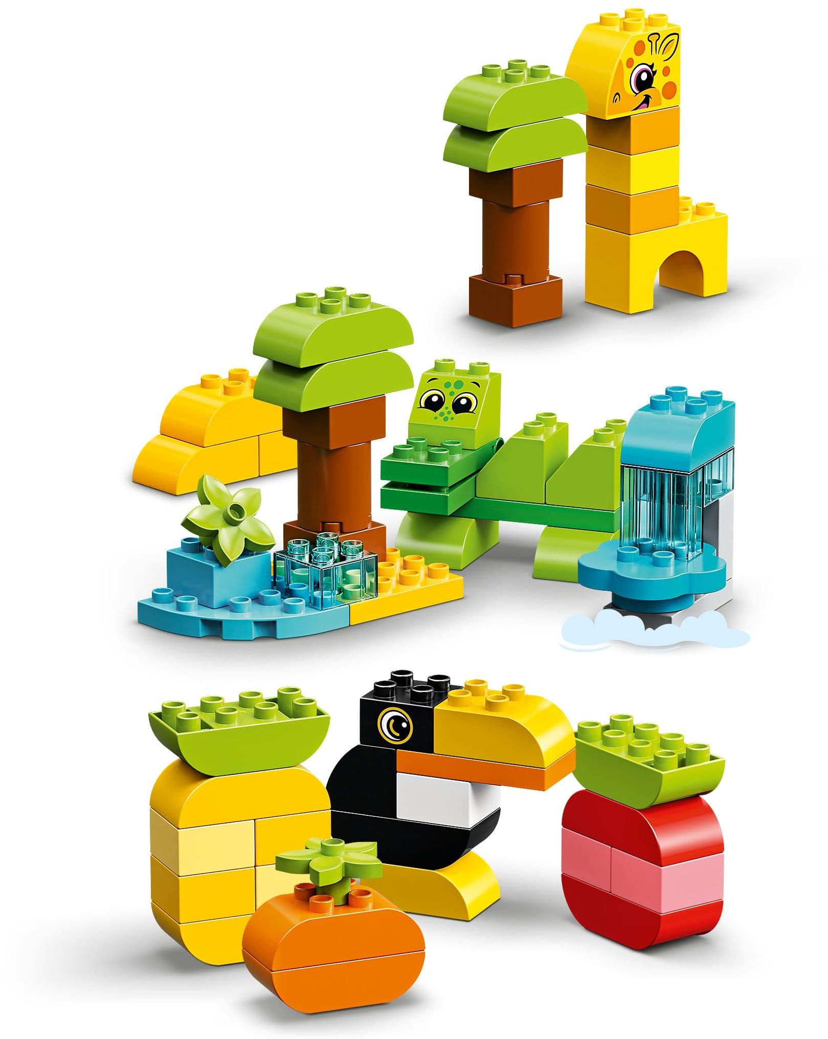 Creative Animals