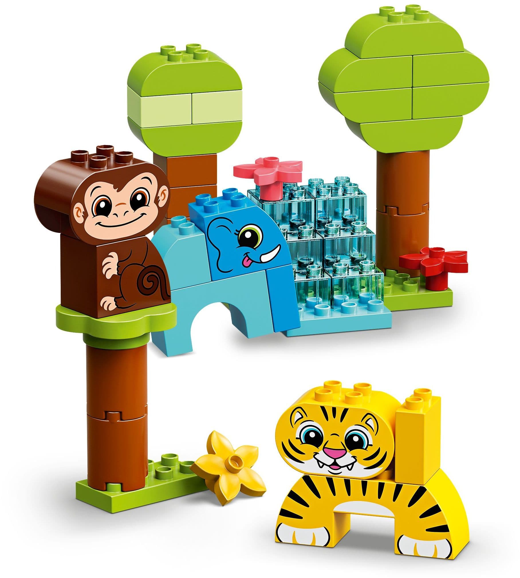 Creative Animals
