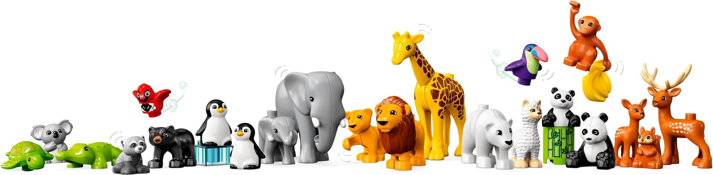 Wild Animals of the World