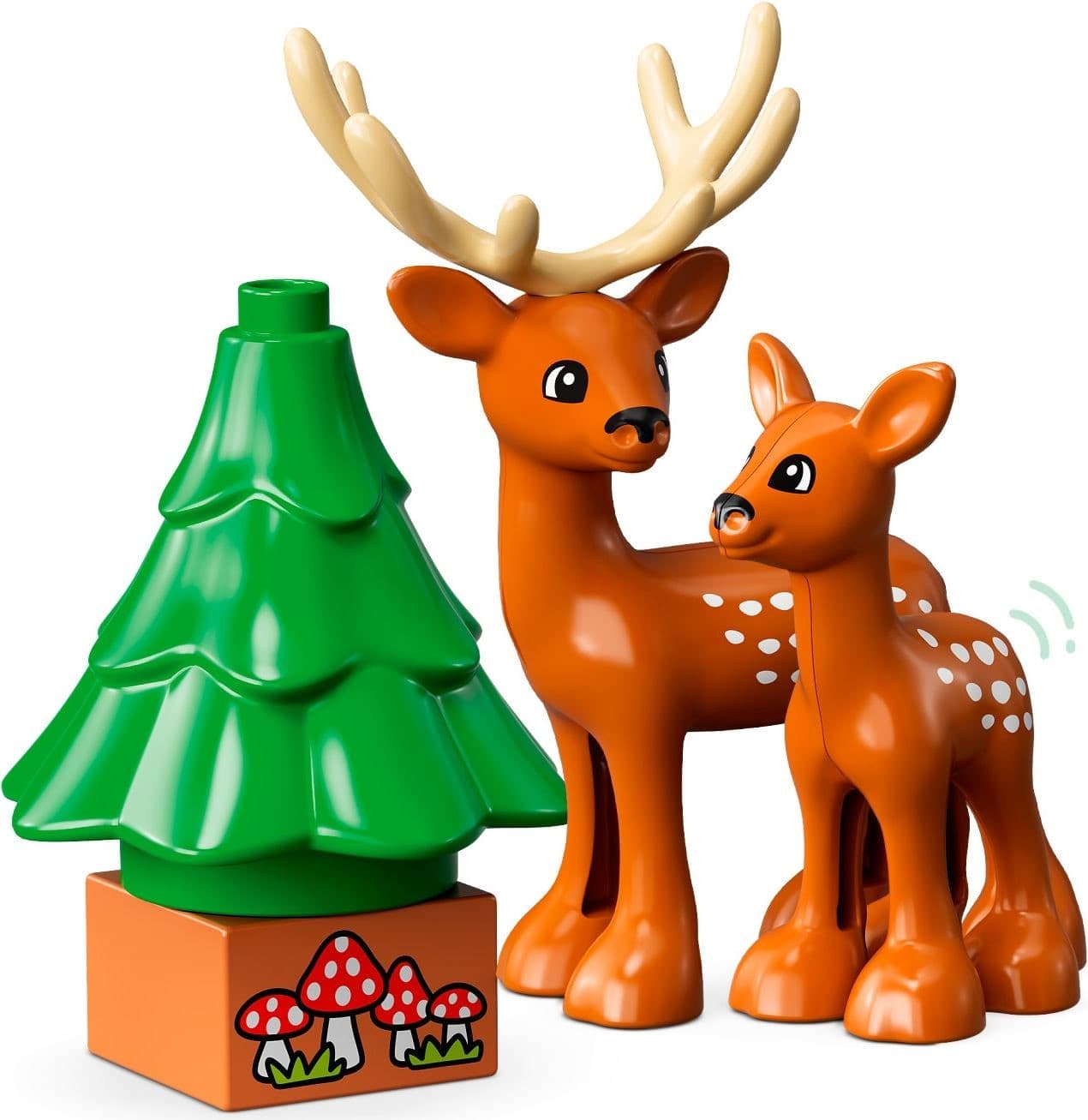 Wild Animals of the World