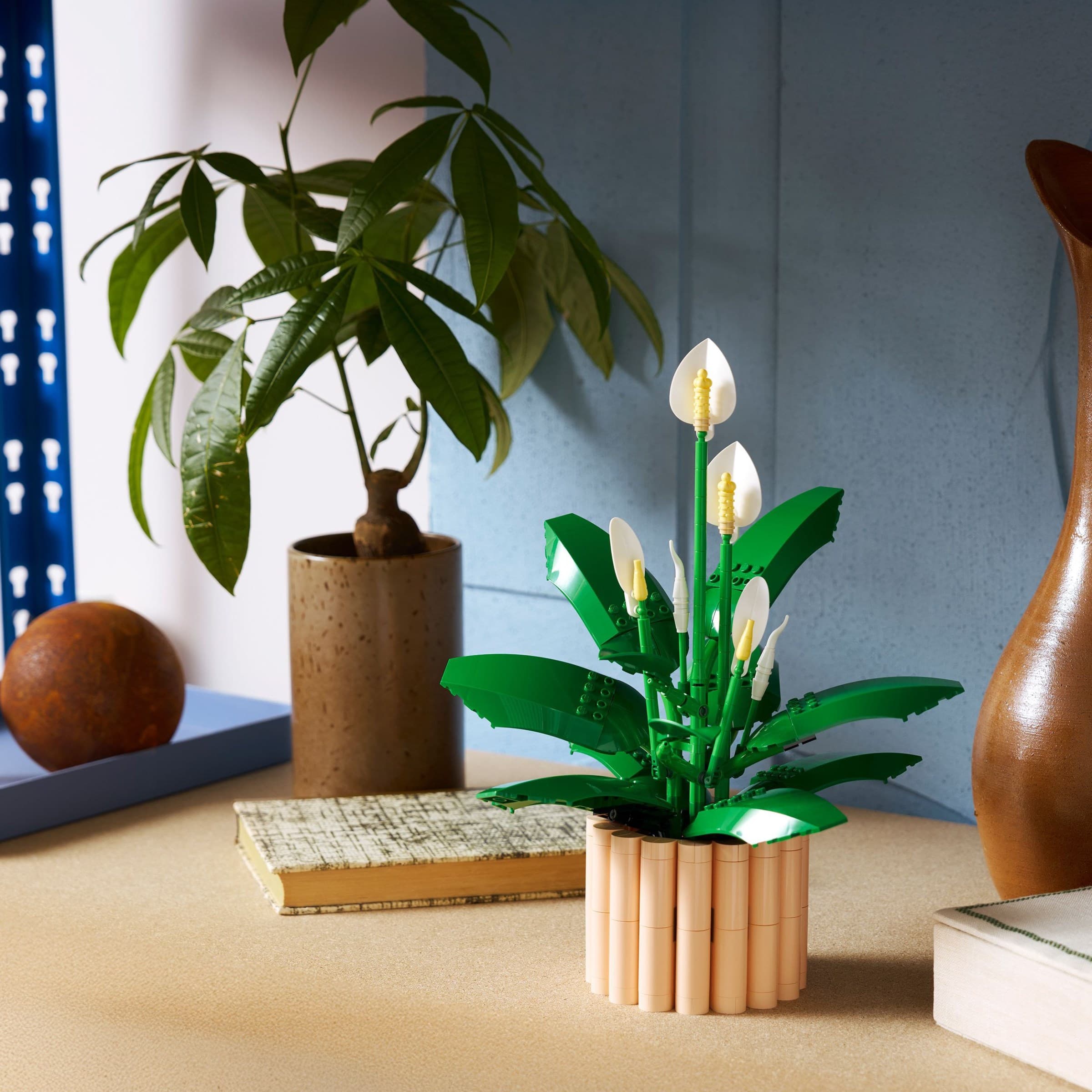 Peace Lily