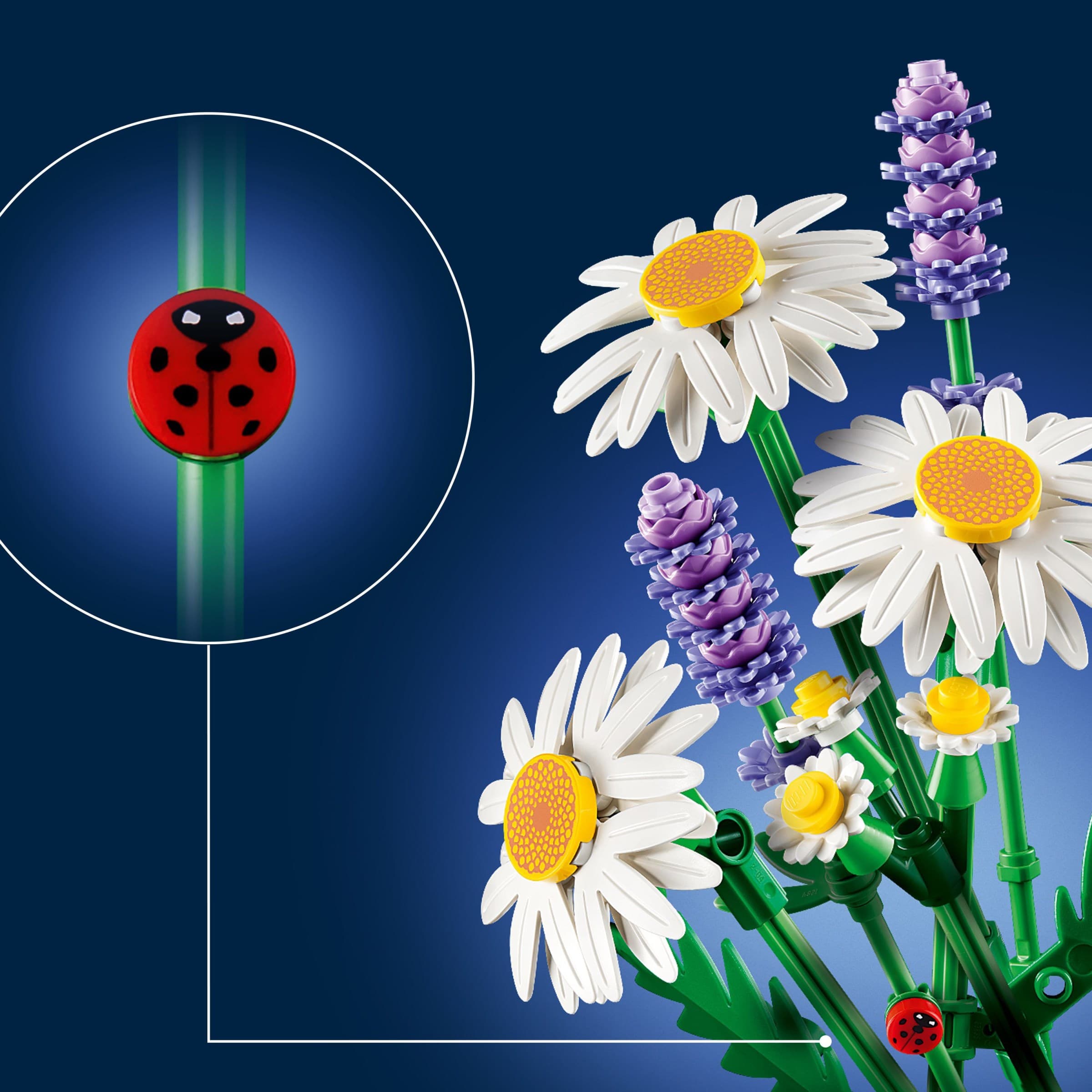 Daisies