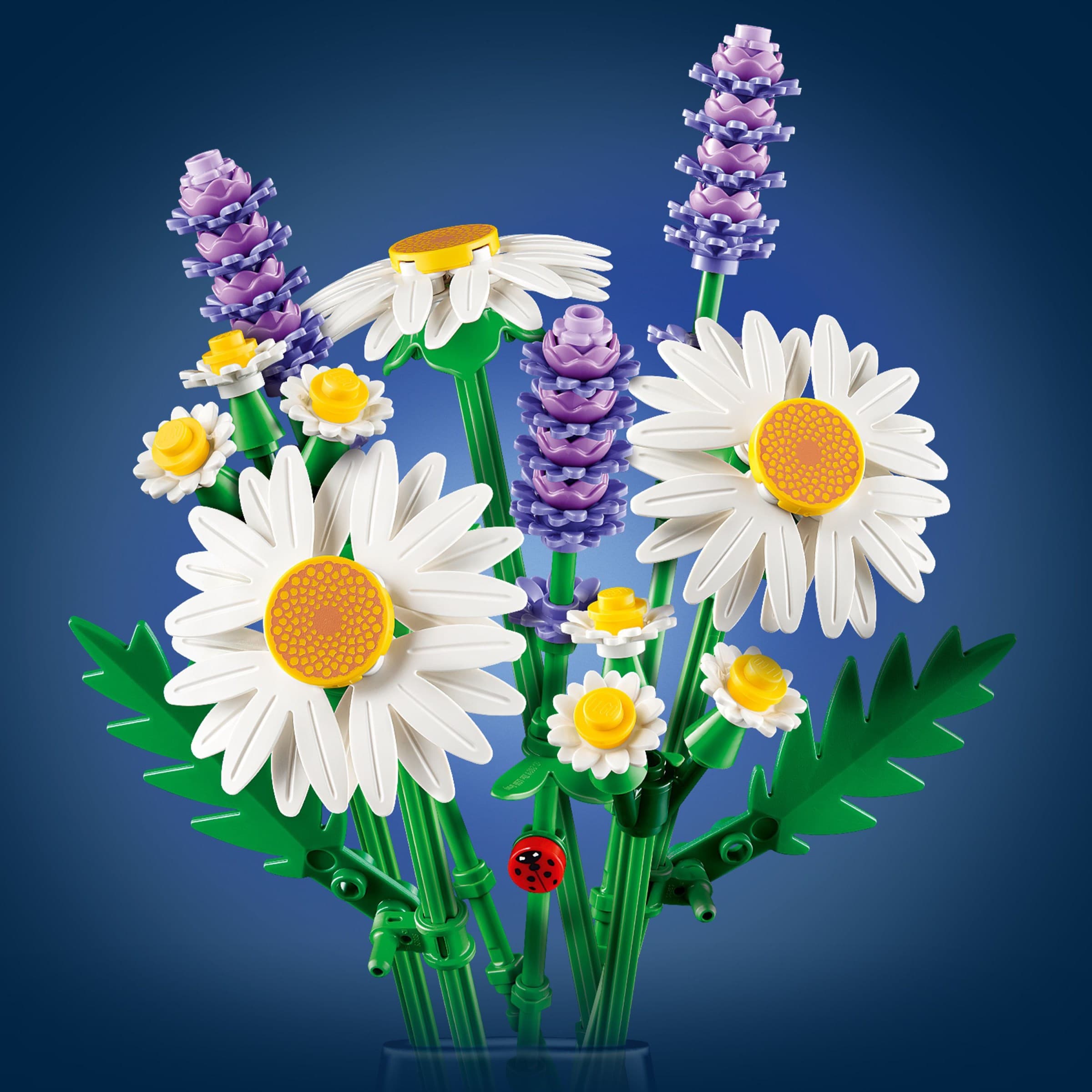 Daisies