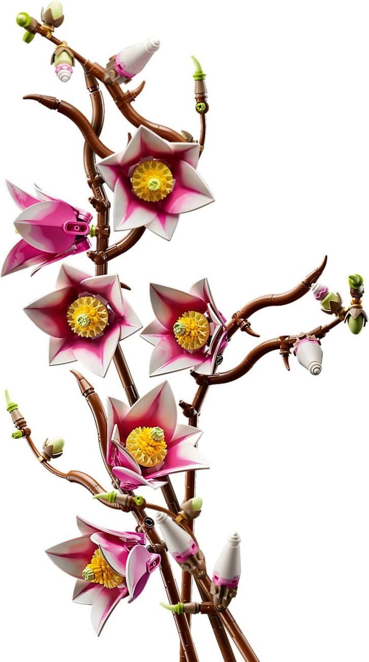 Magnolia Branches
