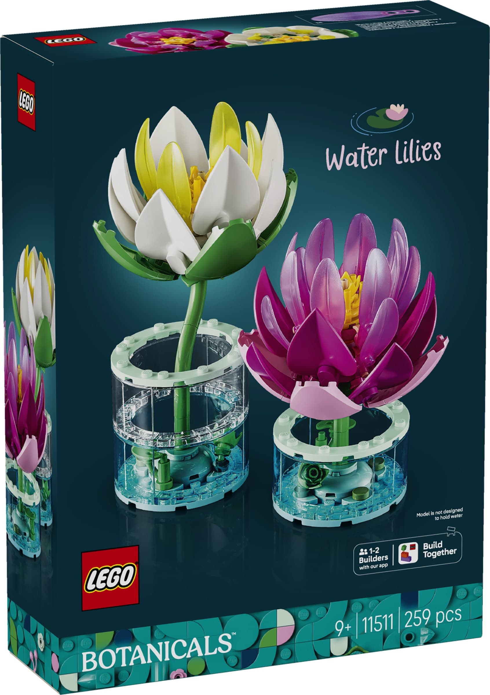 Water Lilies