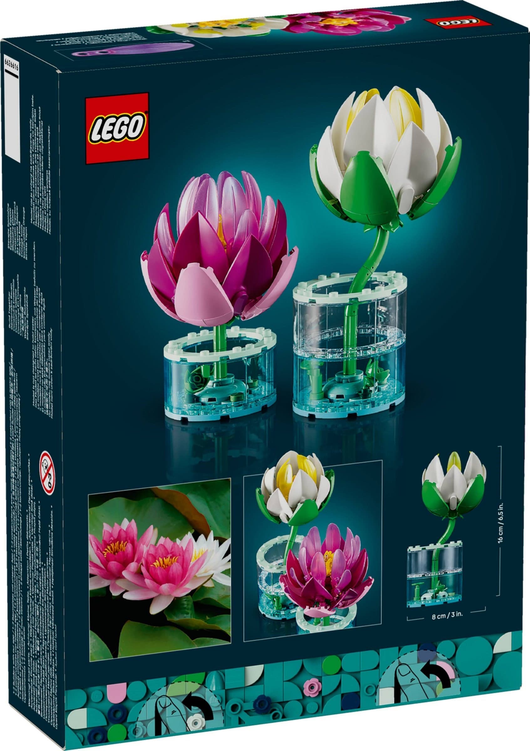 Water Lilies