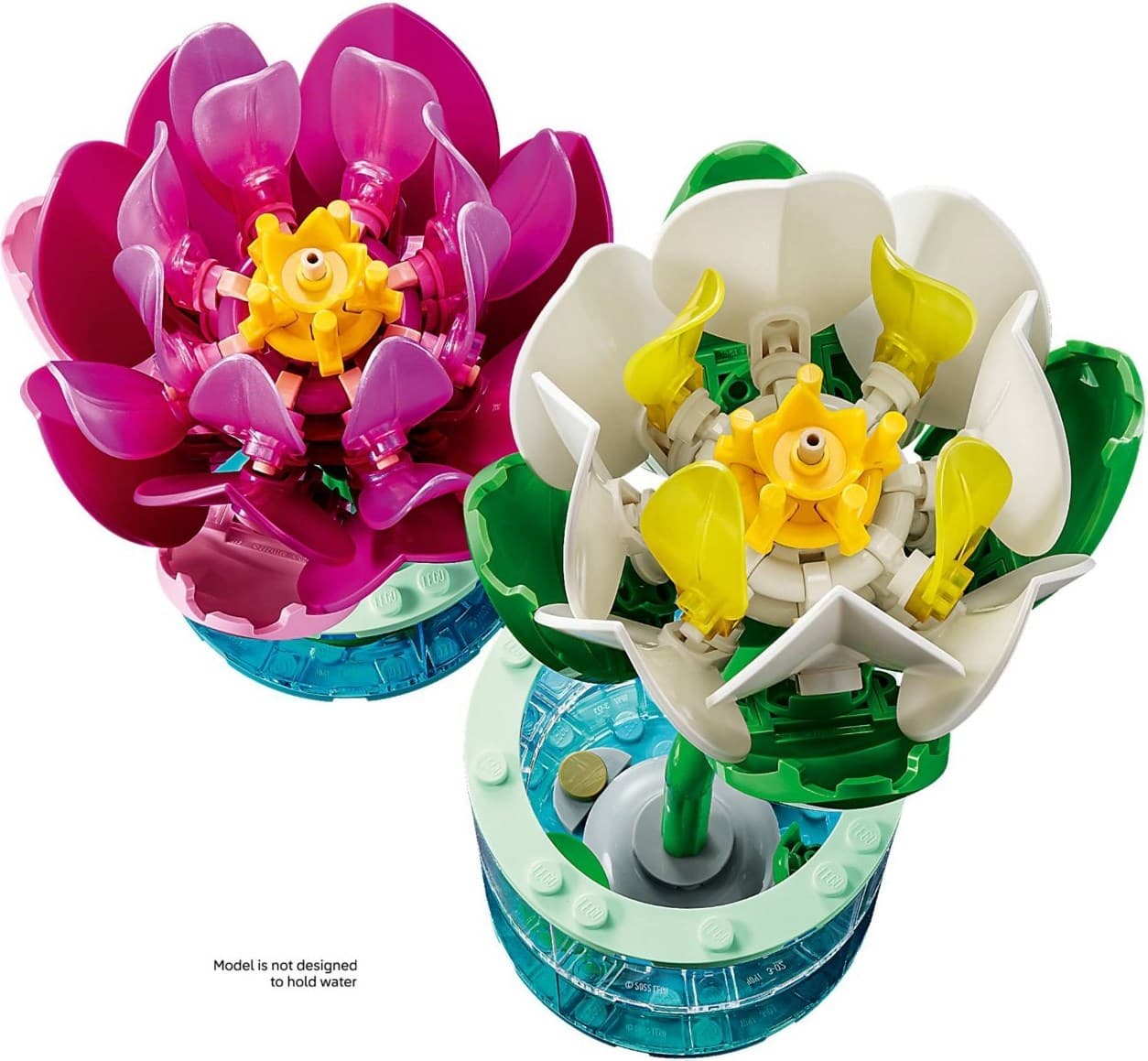 Water Lilies