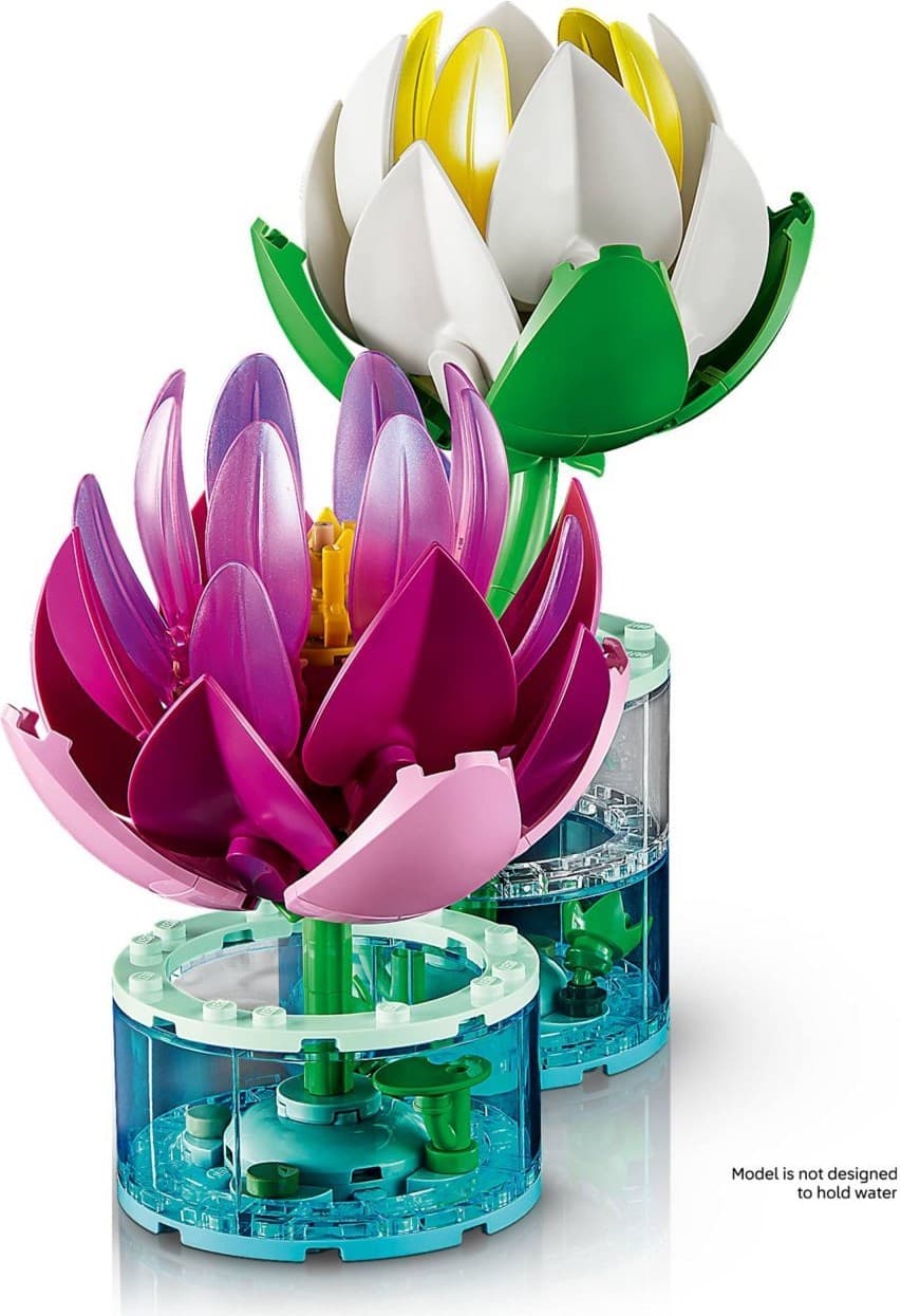 Water Lilies