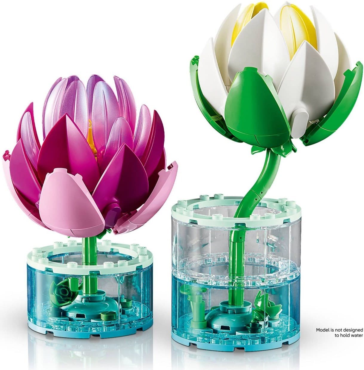 Water Lilies