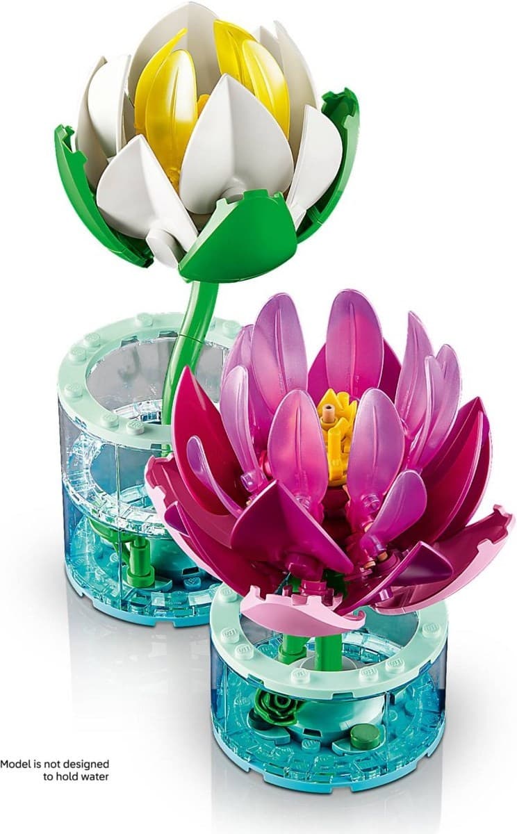 Water Lilies
