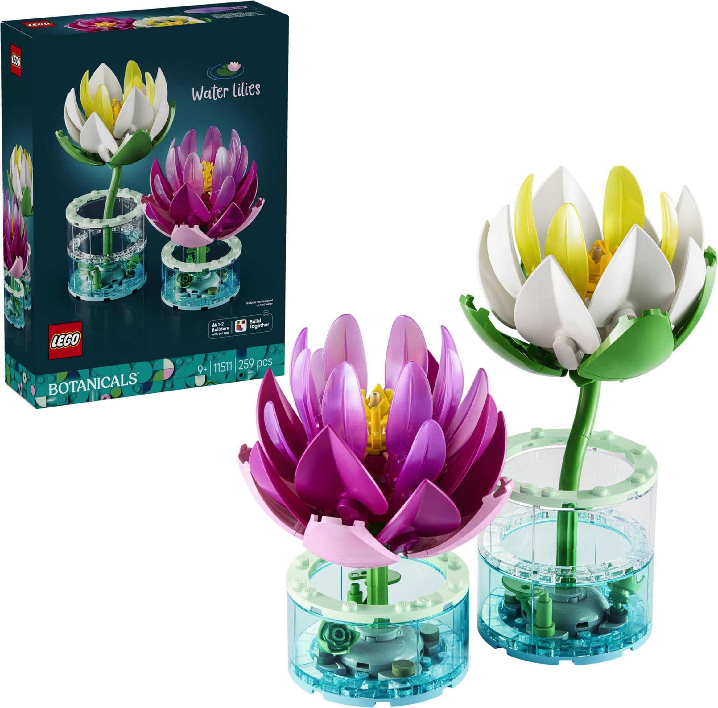 Water Lilies