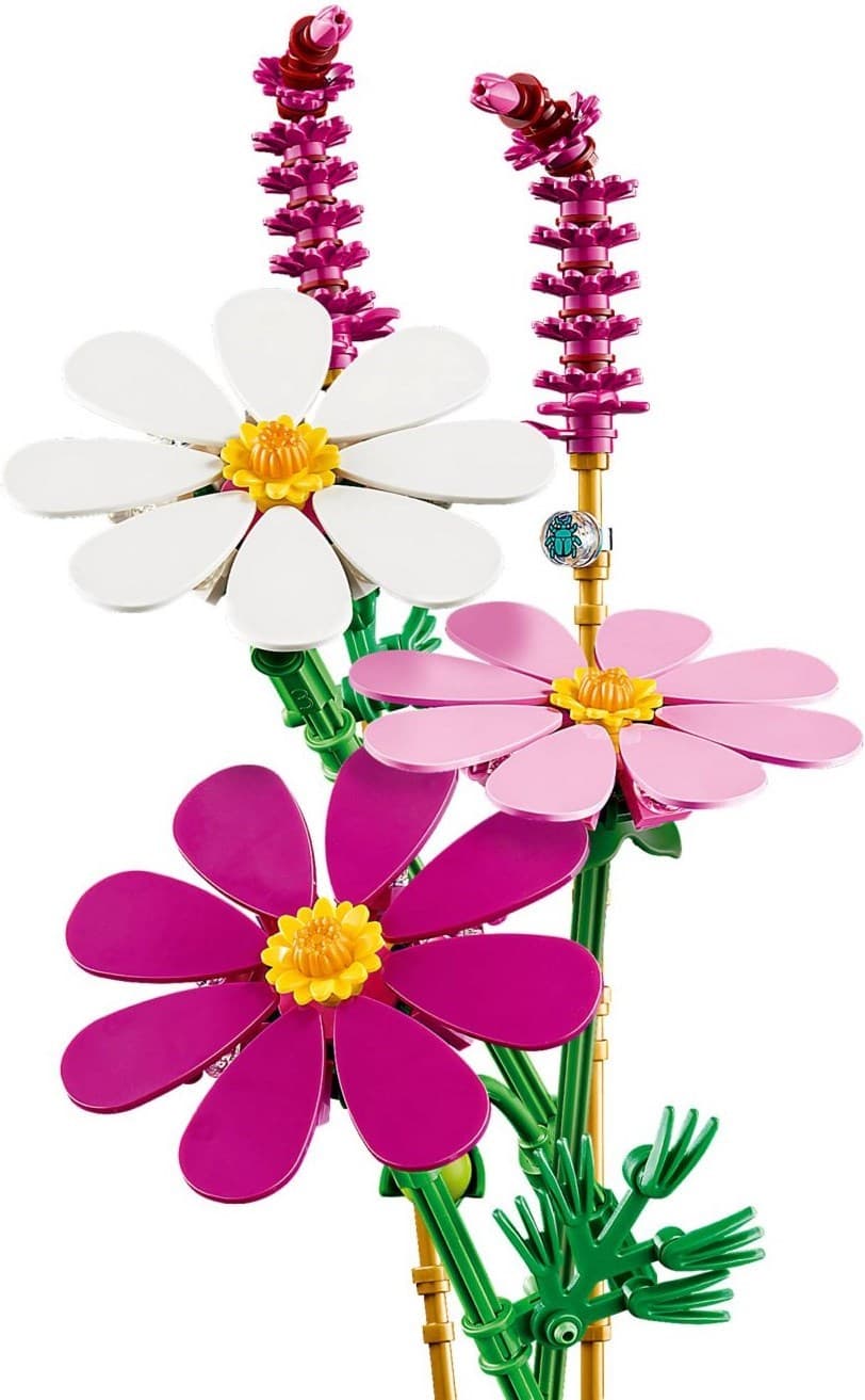 Cosmos Flowers