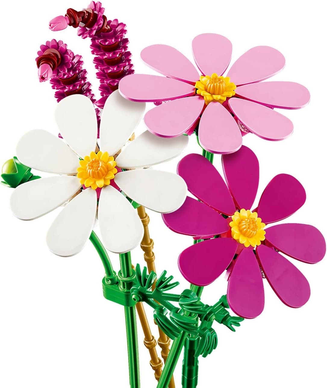 Cosmos Flowers