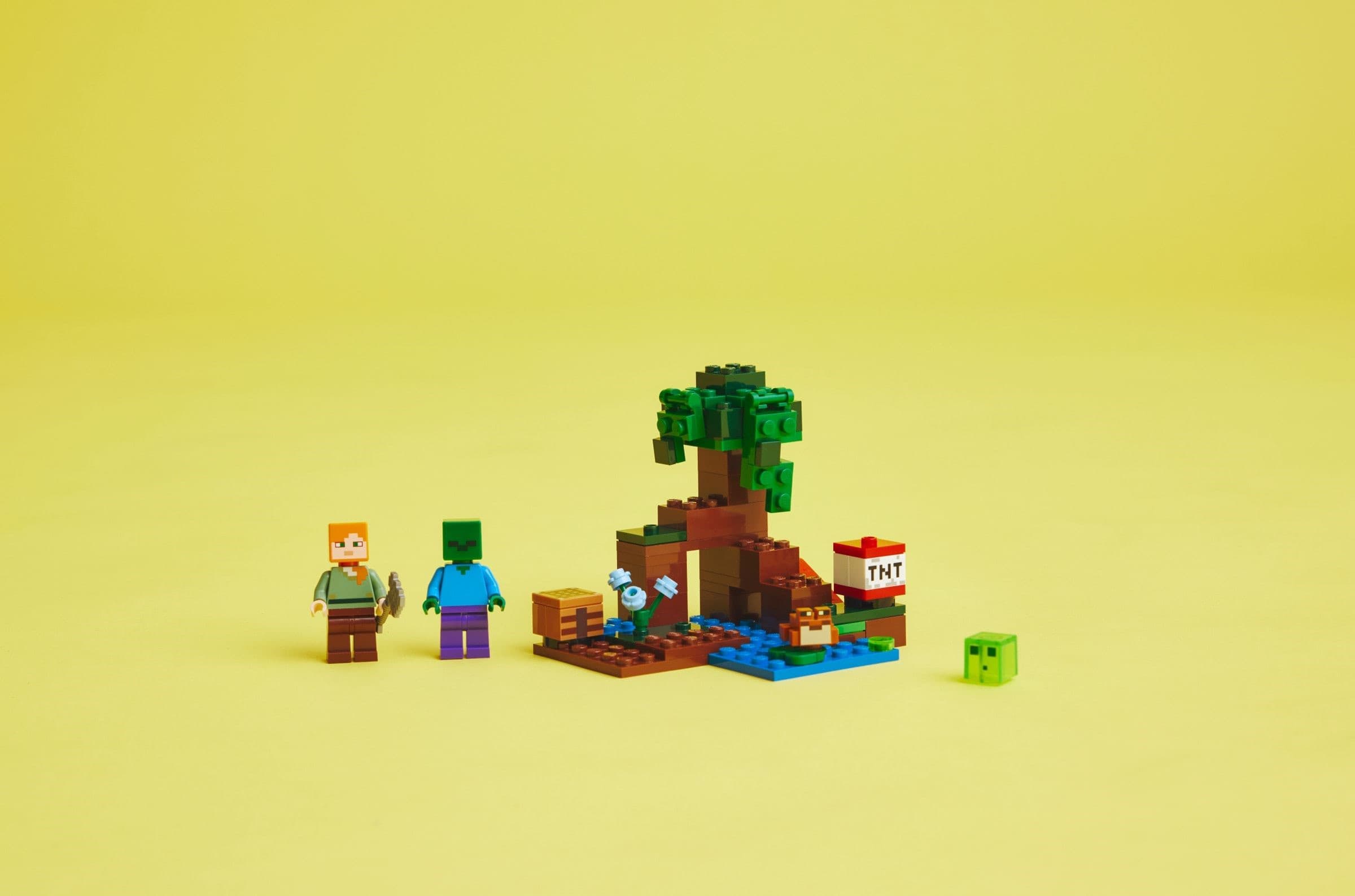 The Swamp Adventure