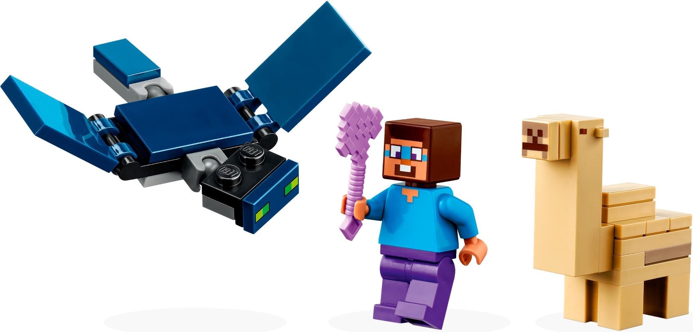 Steve's Desert Expedition