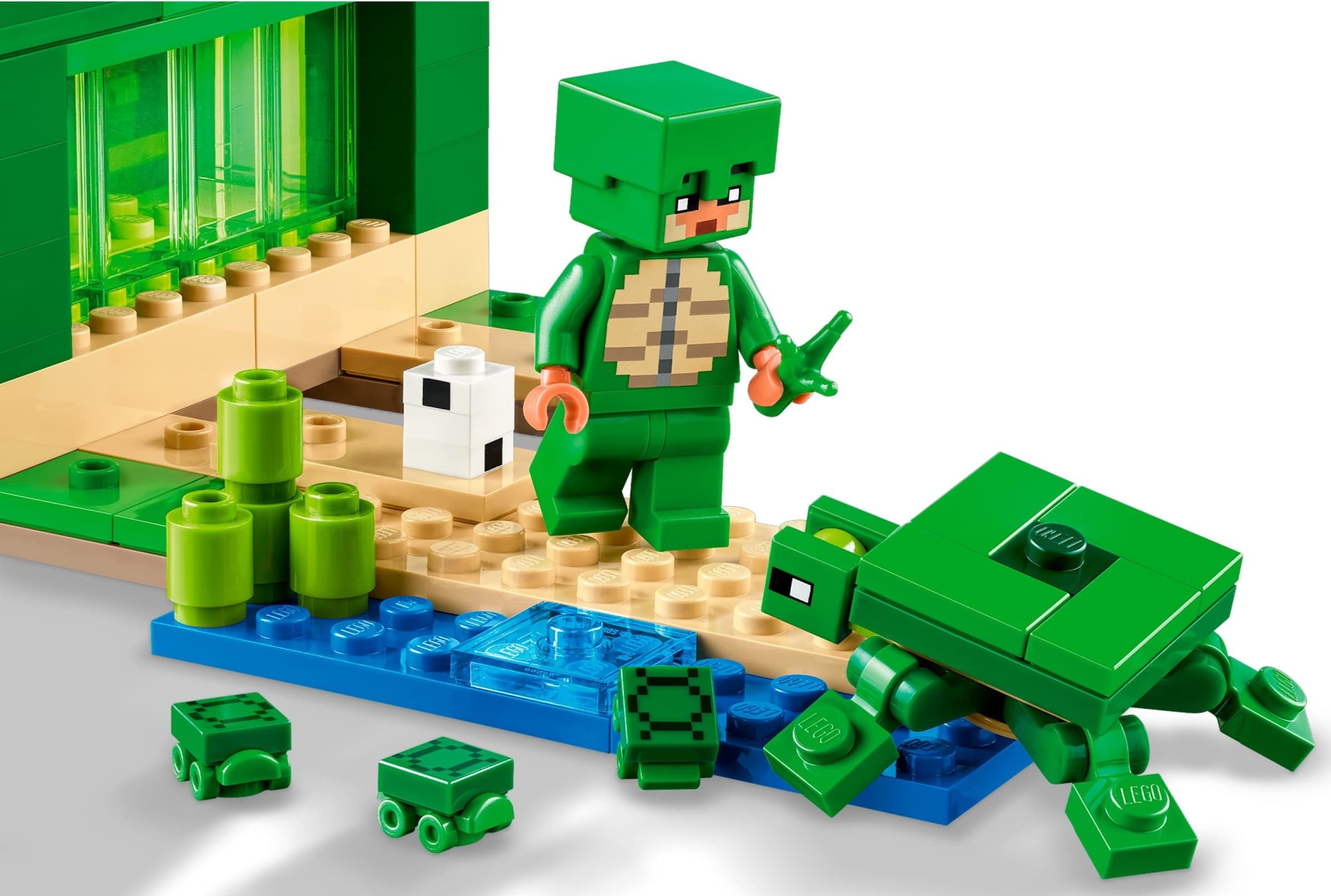 The Turtle Beach House