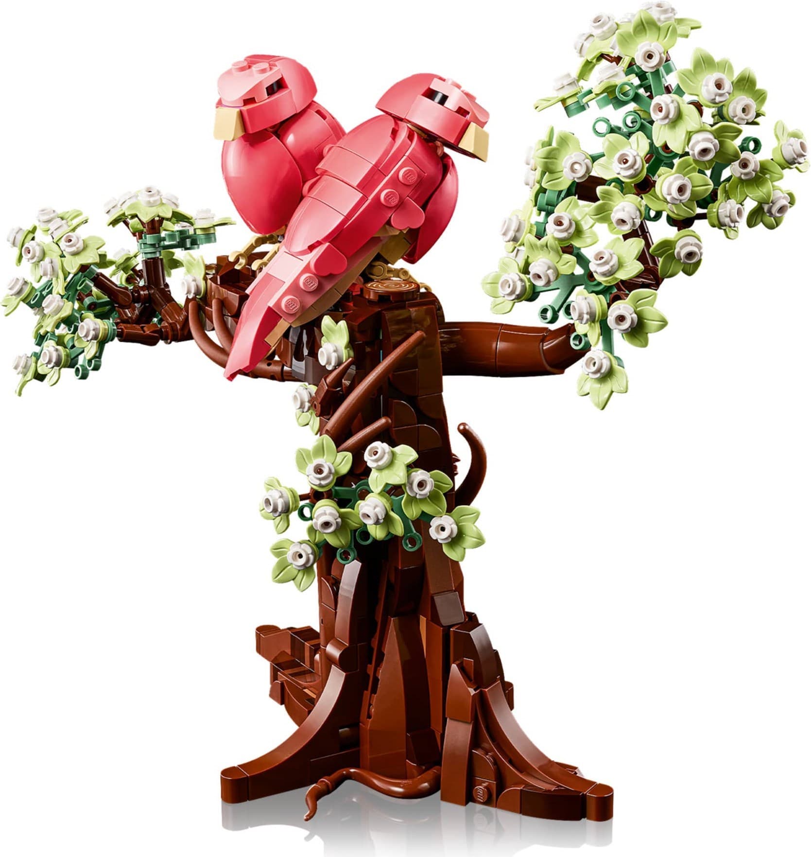 Love Birds