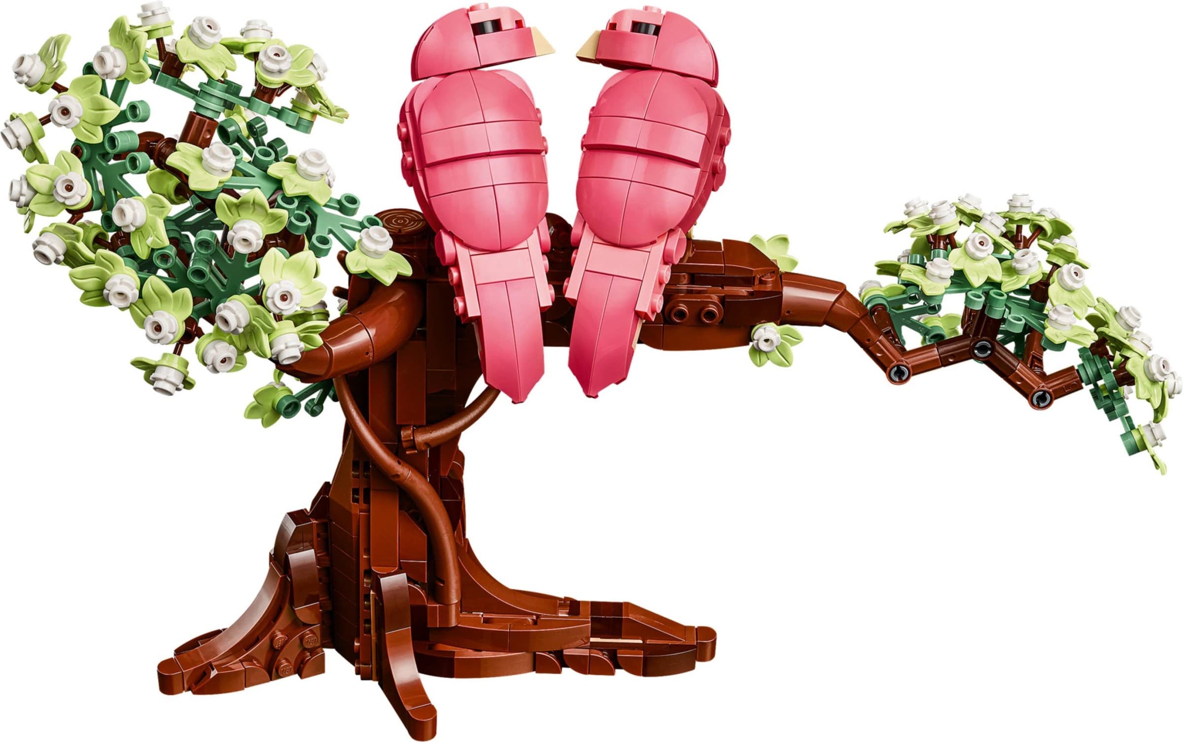 Love Birds