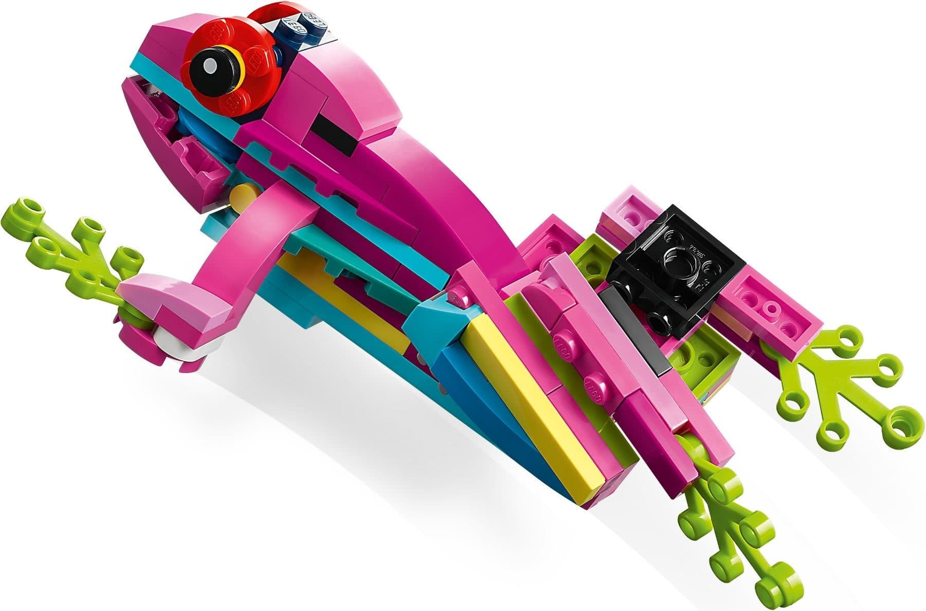 Exotic Pink Parrot