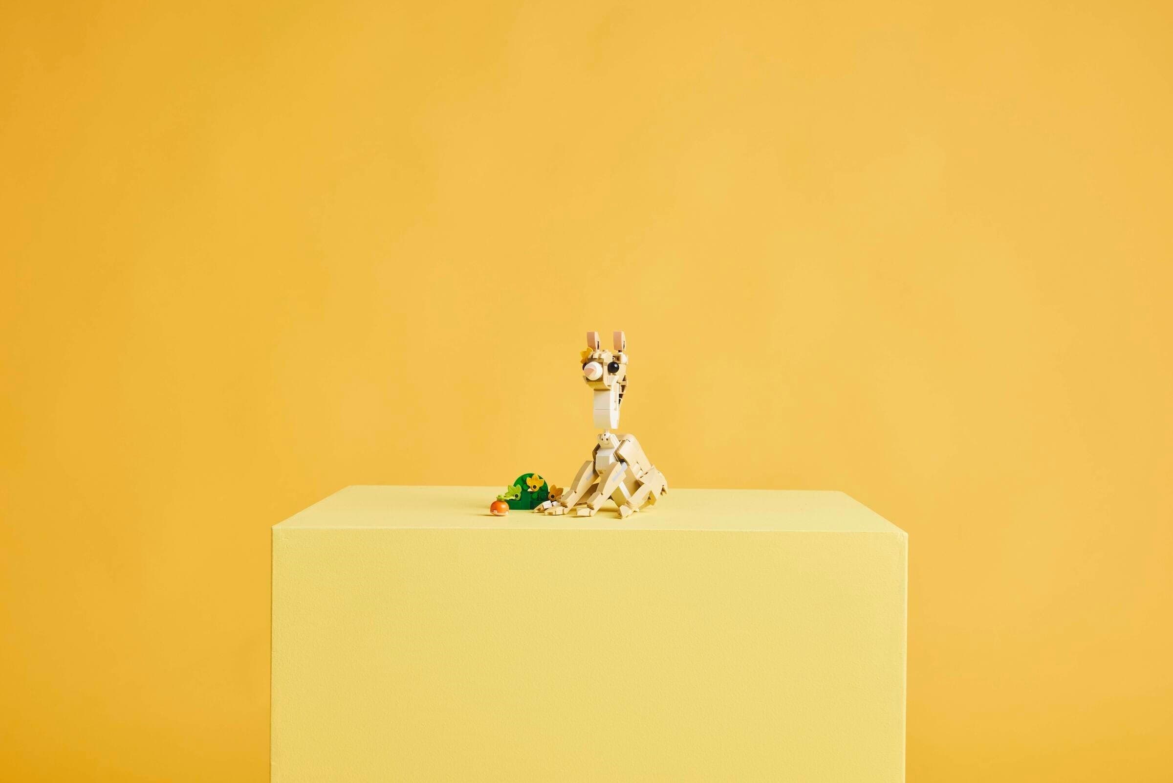 Cute Bunny