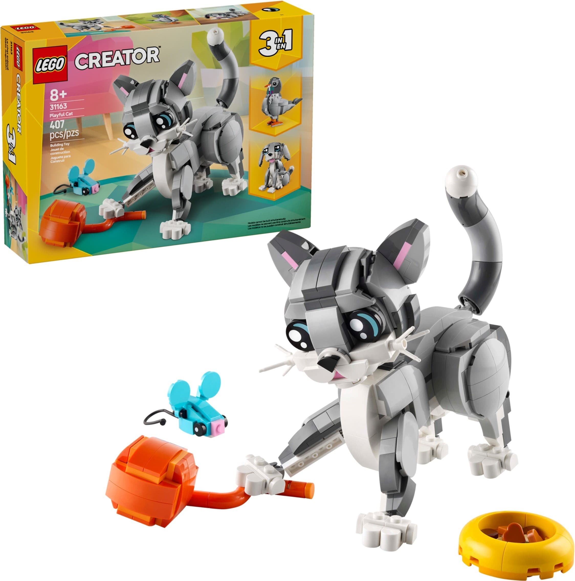 Playful Cat