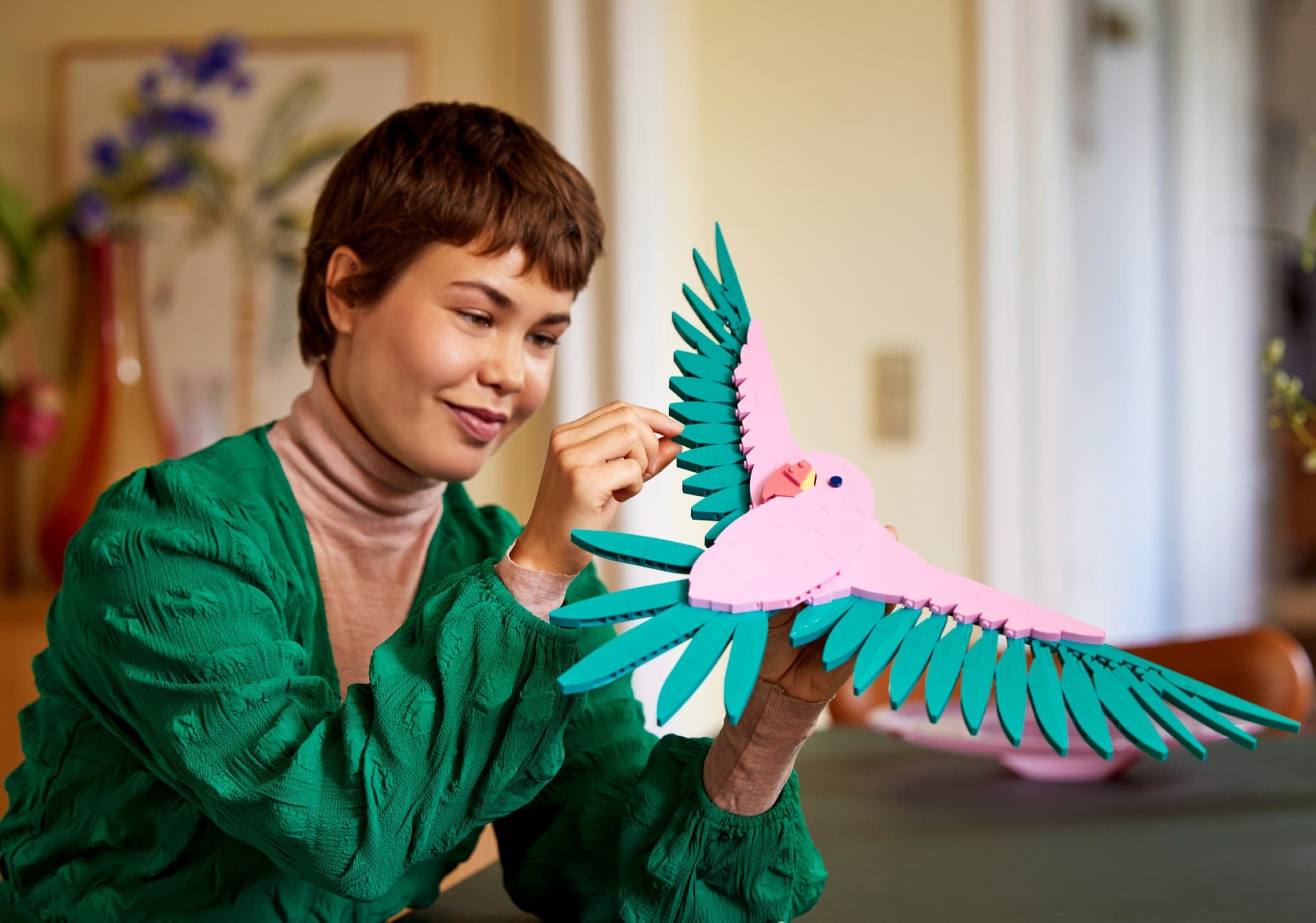 Macaw Parrots