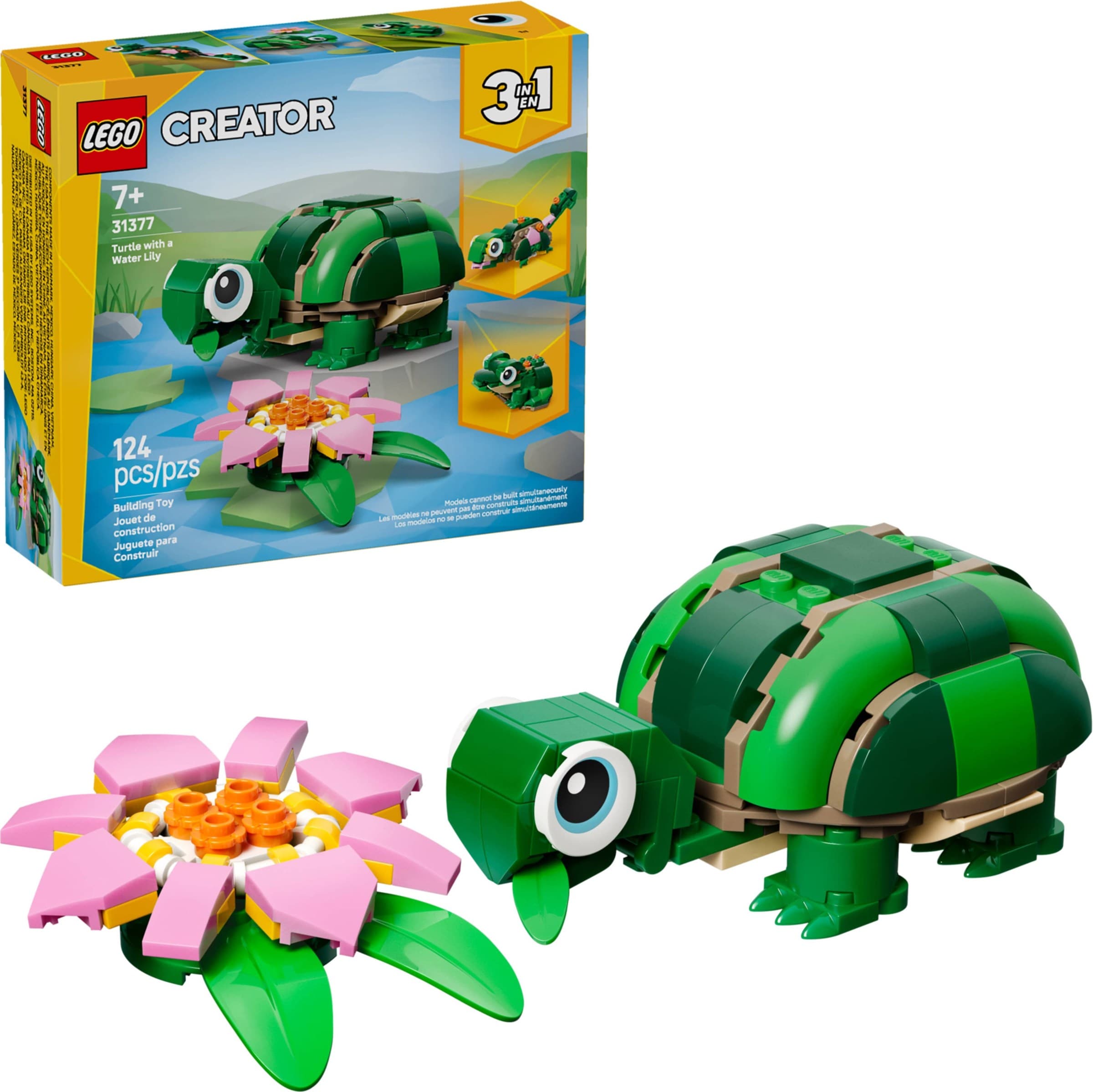 Turtle with a Water Lily Flower