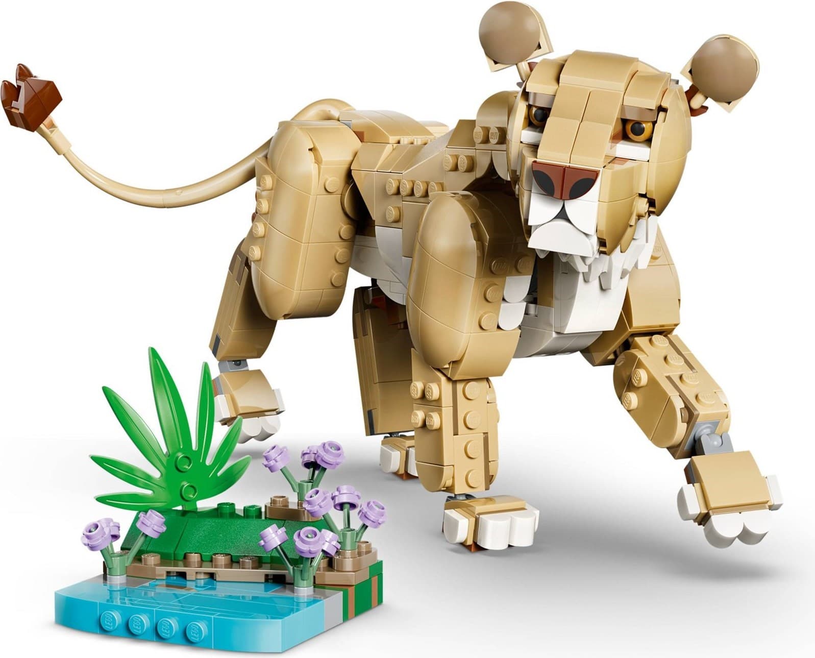 Wild Animals: Majestic Lion
