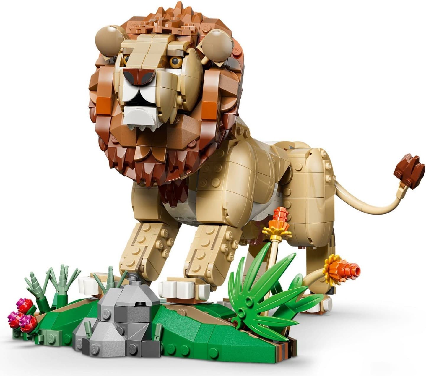 Wild Animals: Majestic Lion