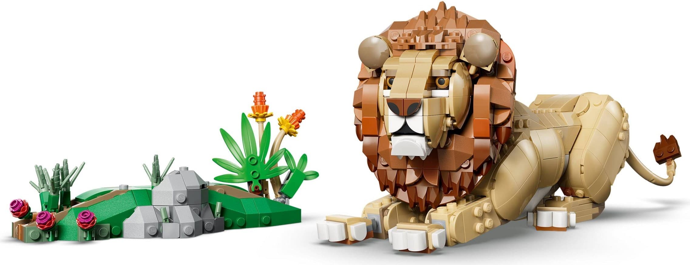 Wild Animals: Majestic Lion