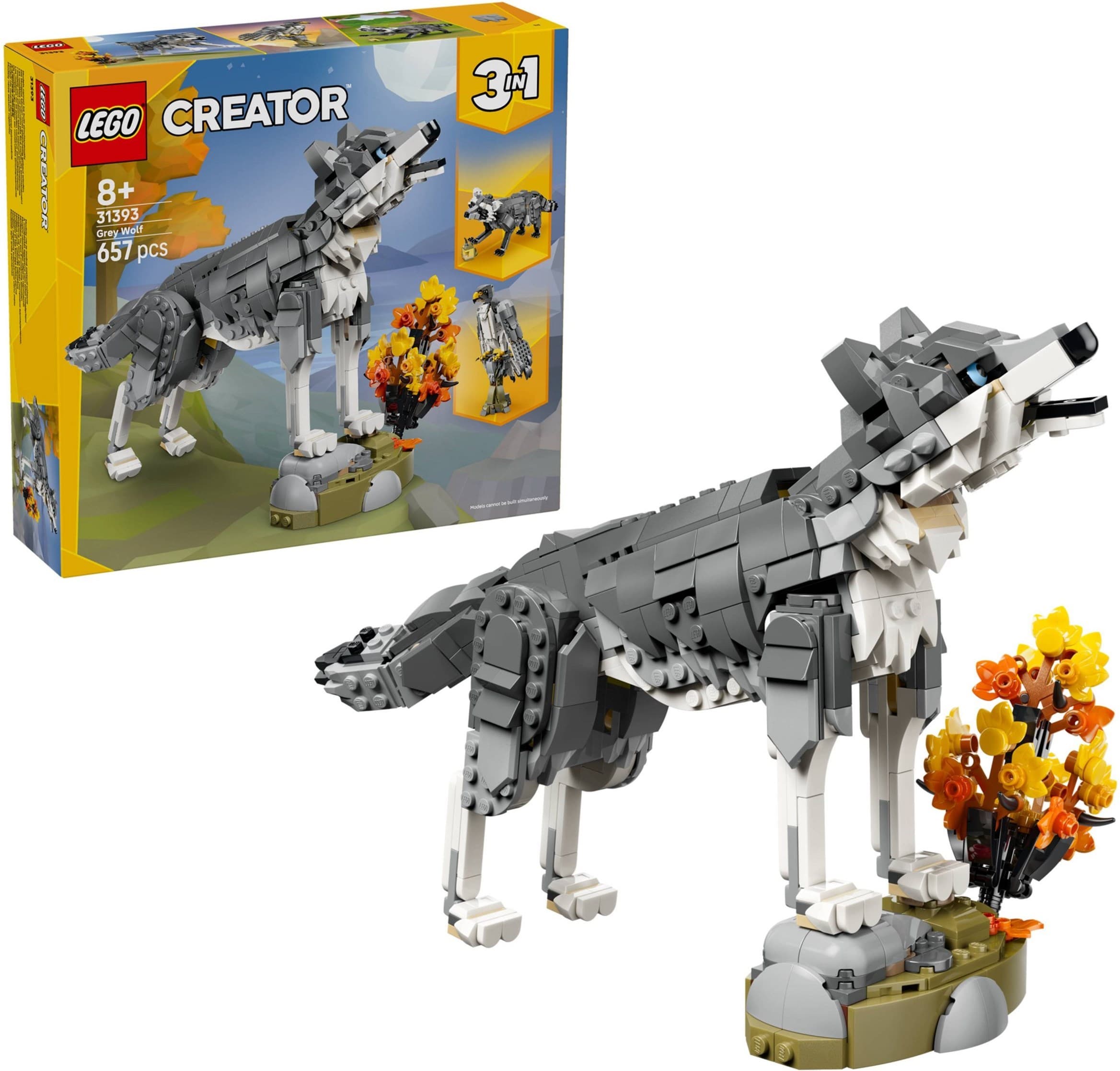 Forest Animals: Gray Wolf
