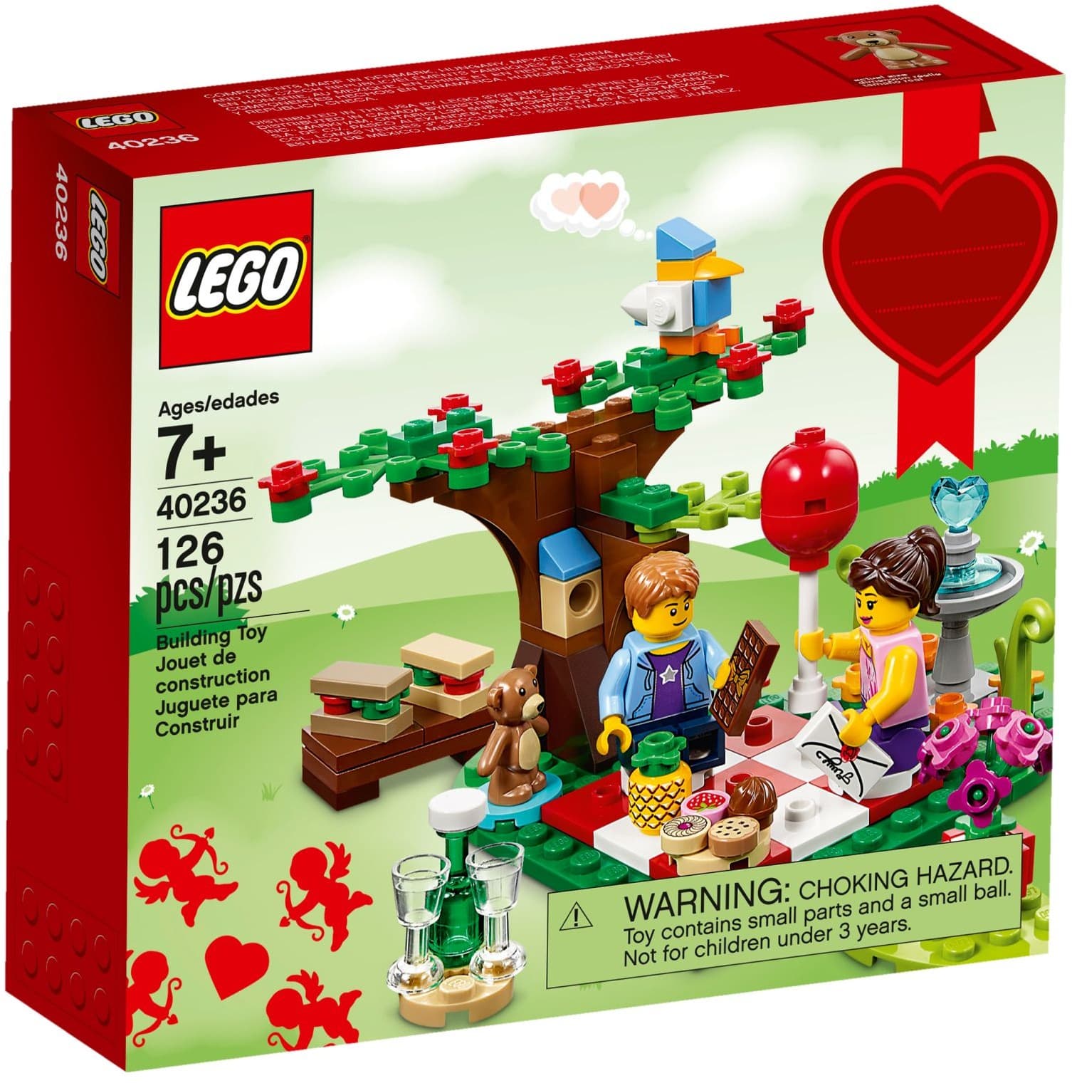 Romantic Valentine Picnic