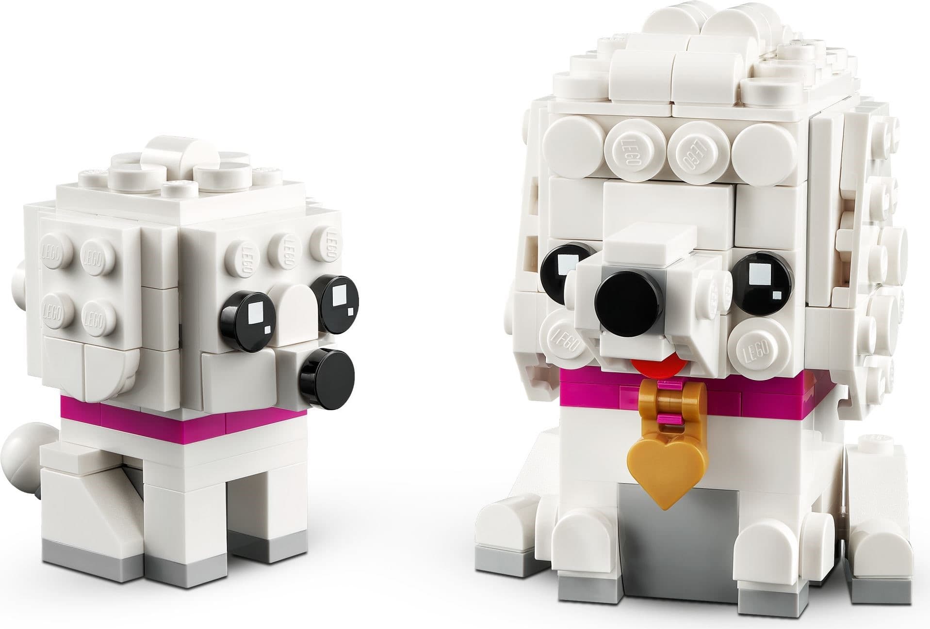 Poodle