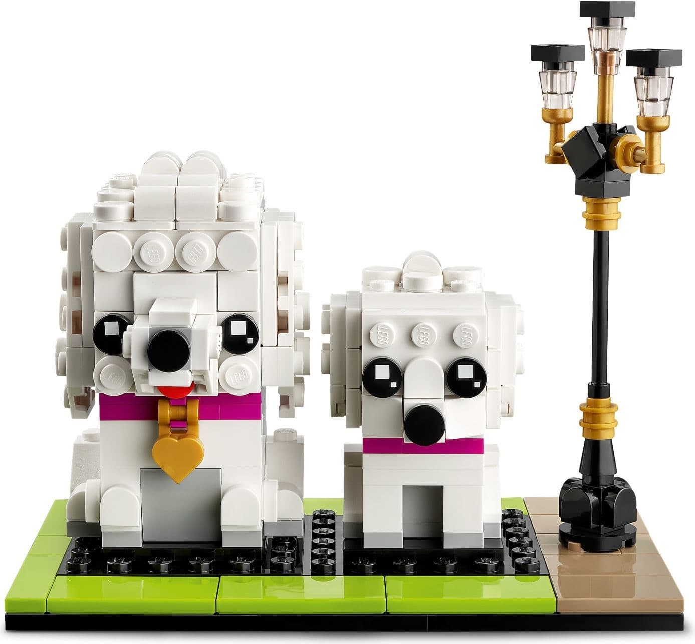 Poodle