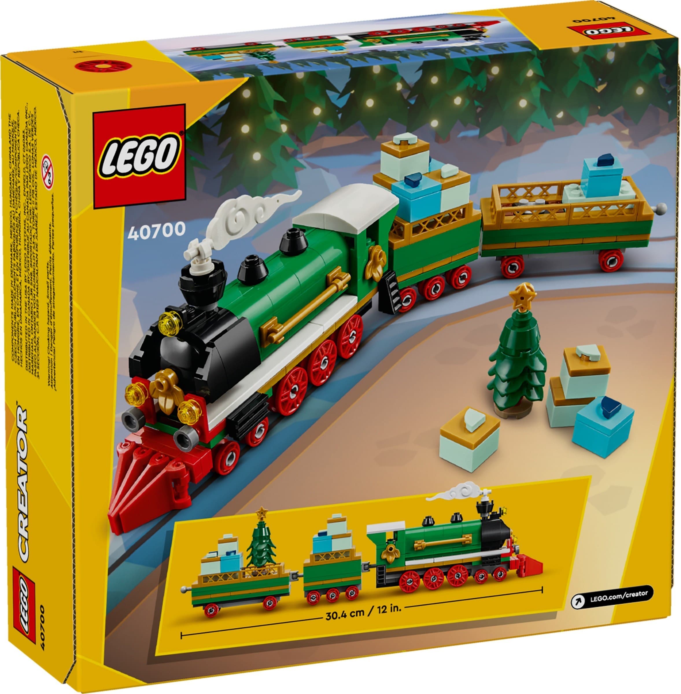 Winter Holiday Train