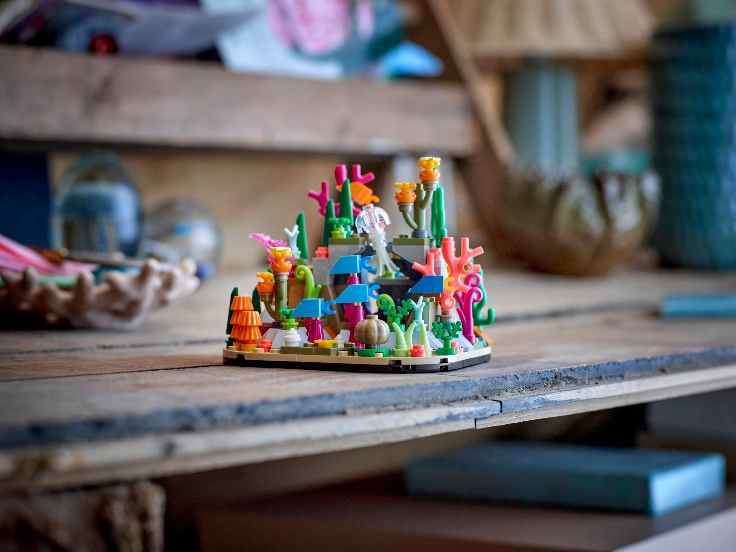 Coral Reef Diorama