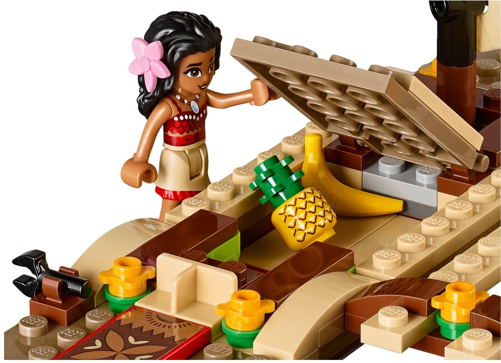 Moana's Ocean Voyage