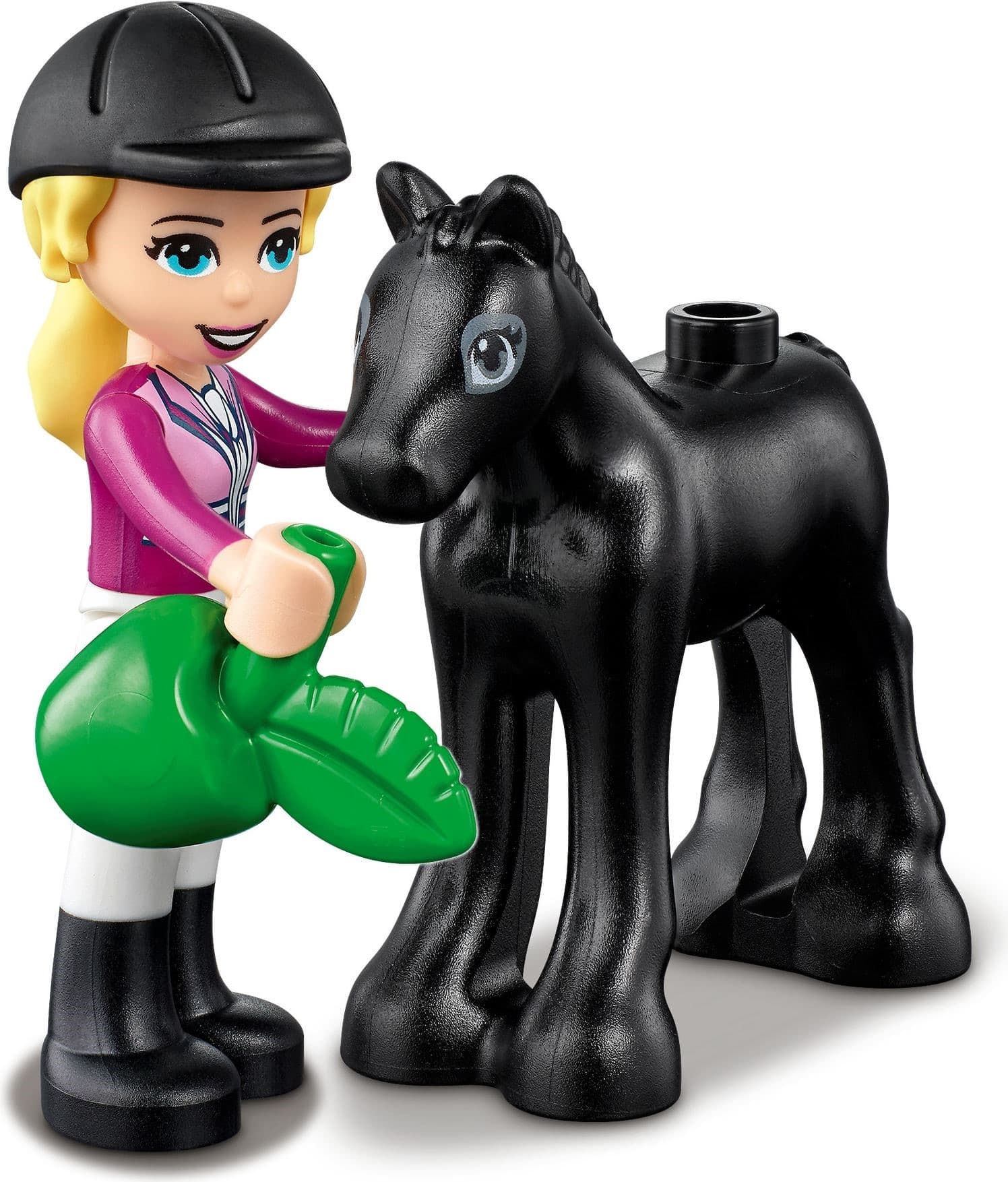 Horse Training and Trailer