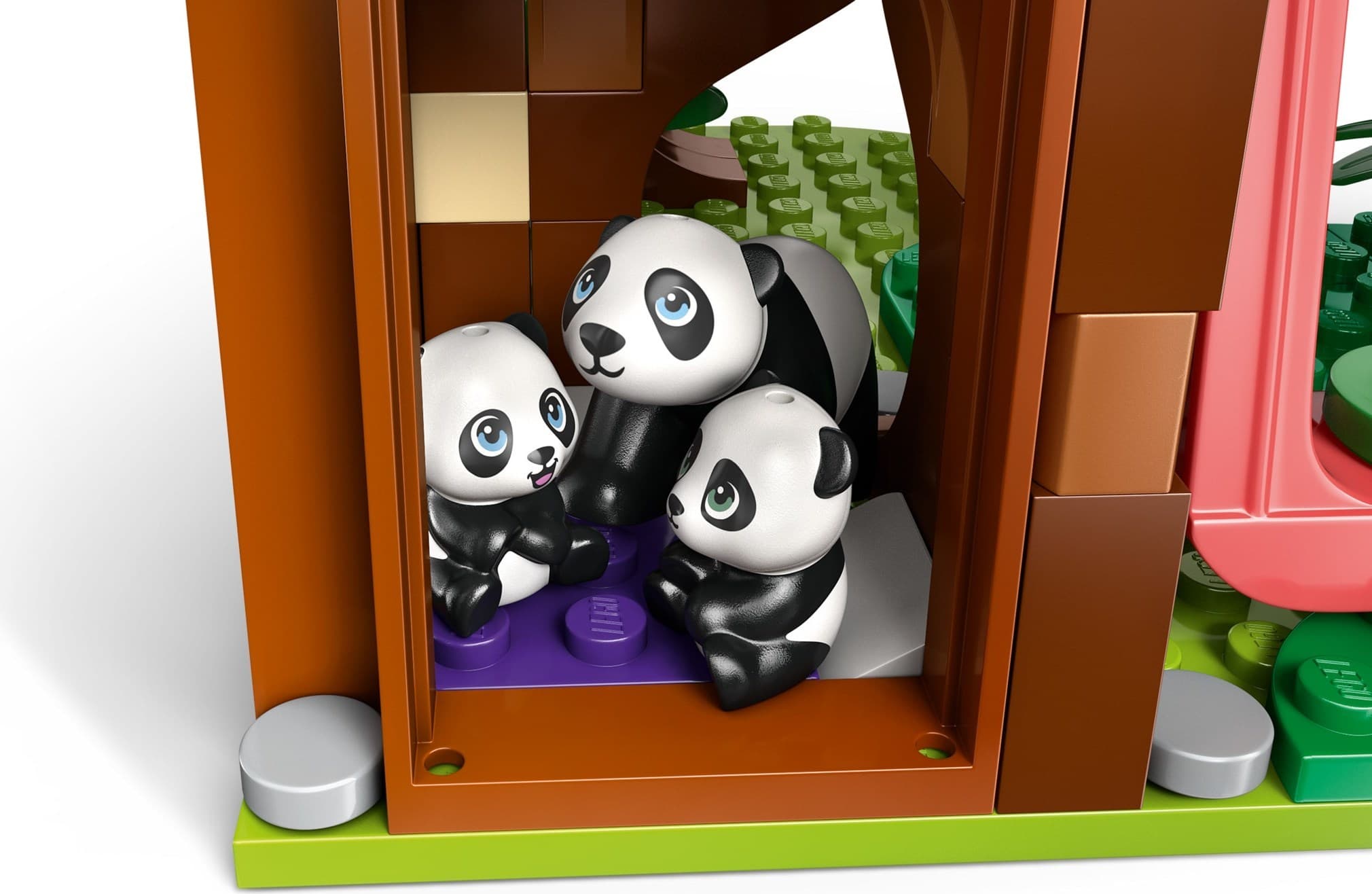 Panda Sanctuary Animal Care