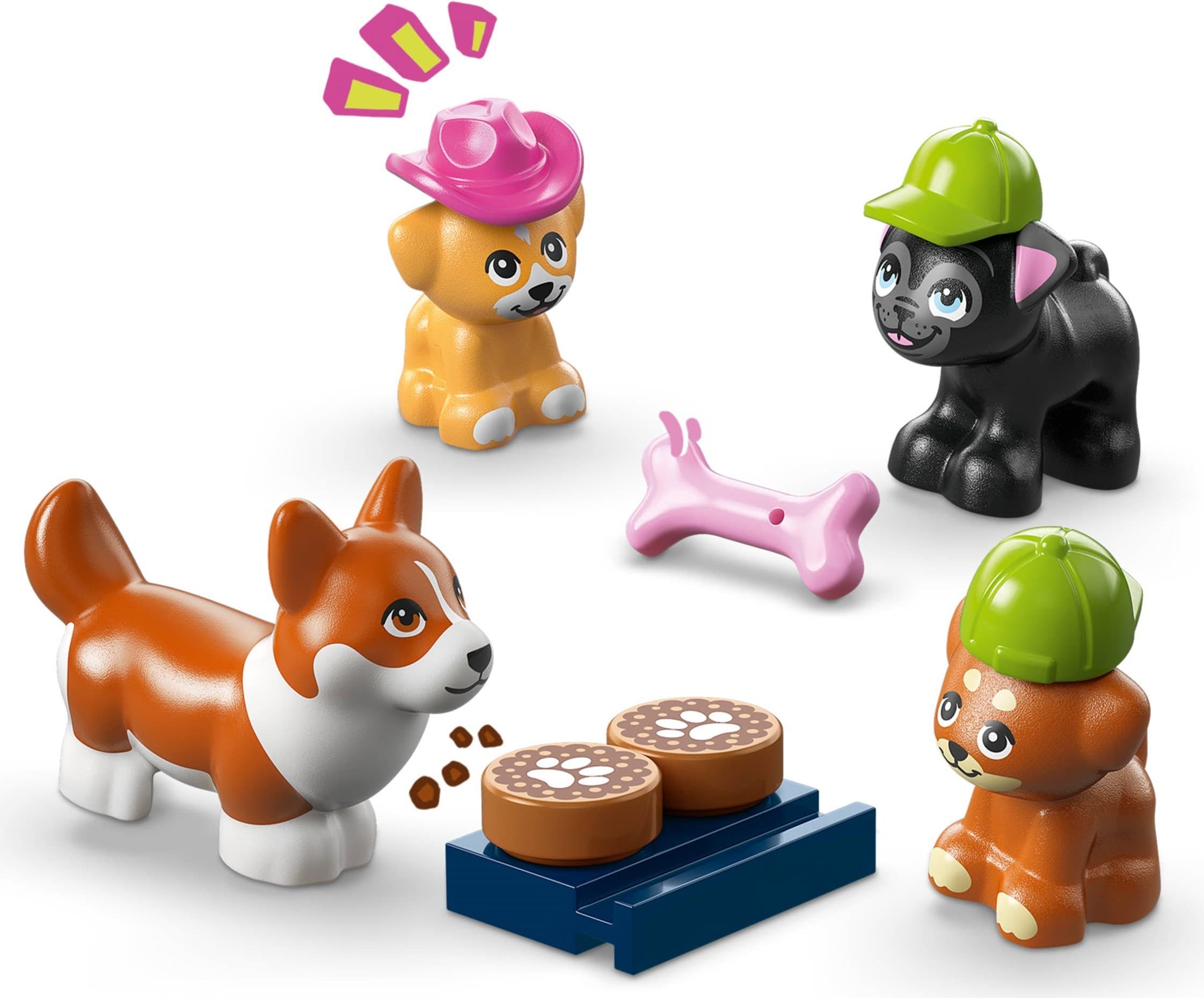 Dog Treats Bakery