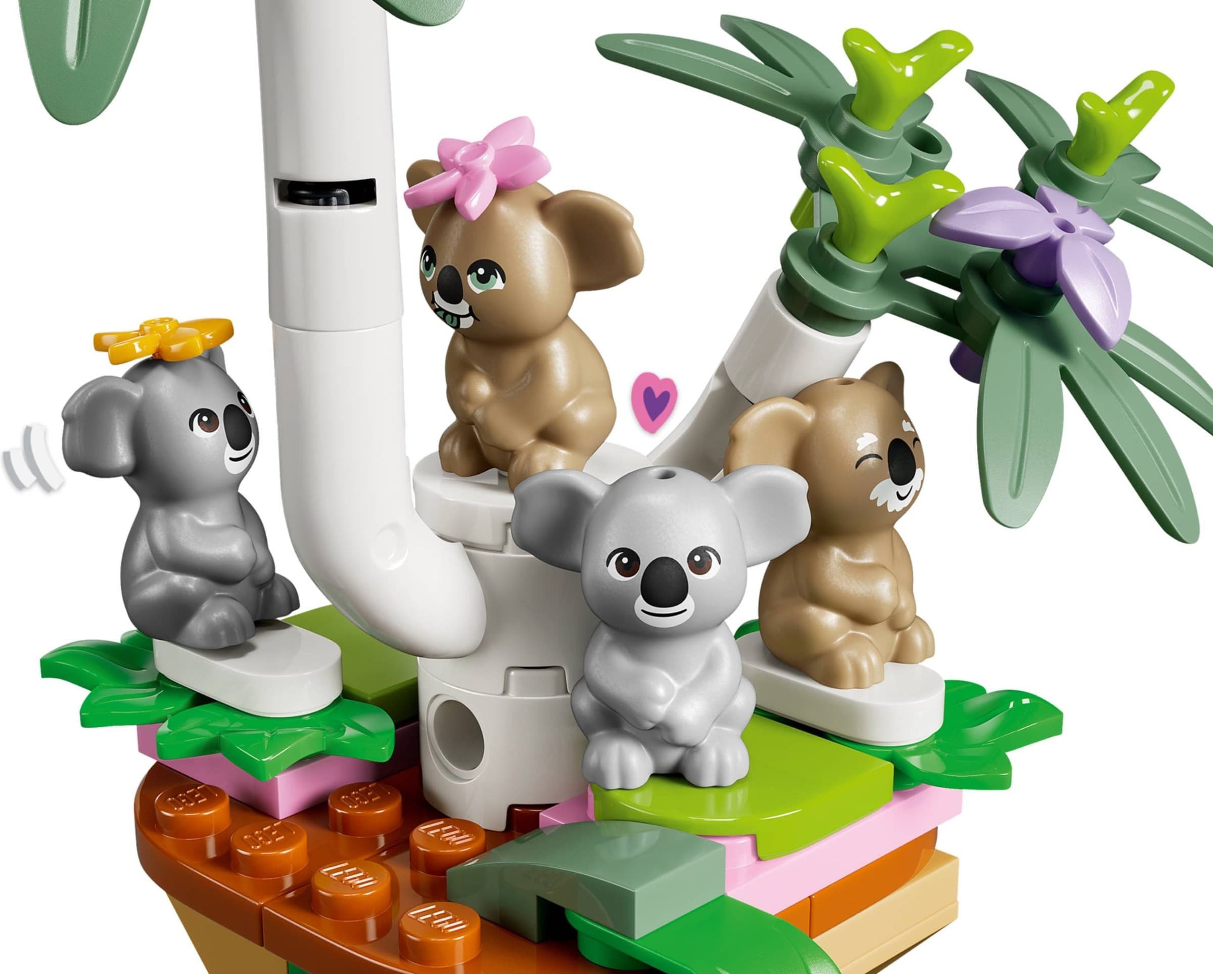 Koala Habitat & Care Center