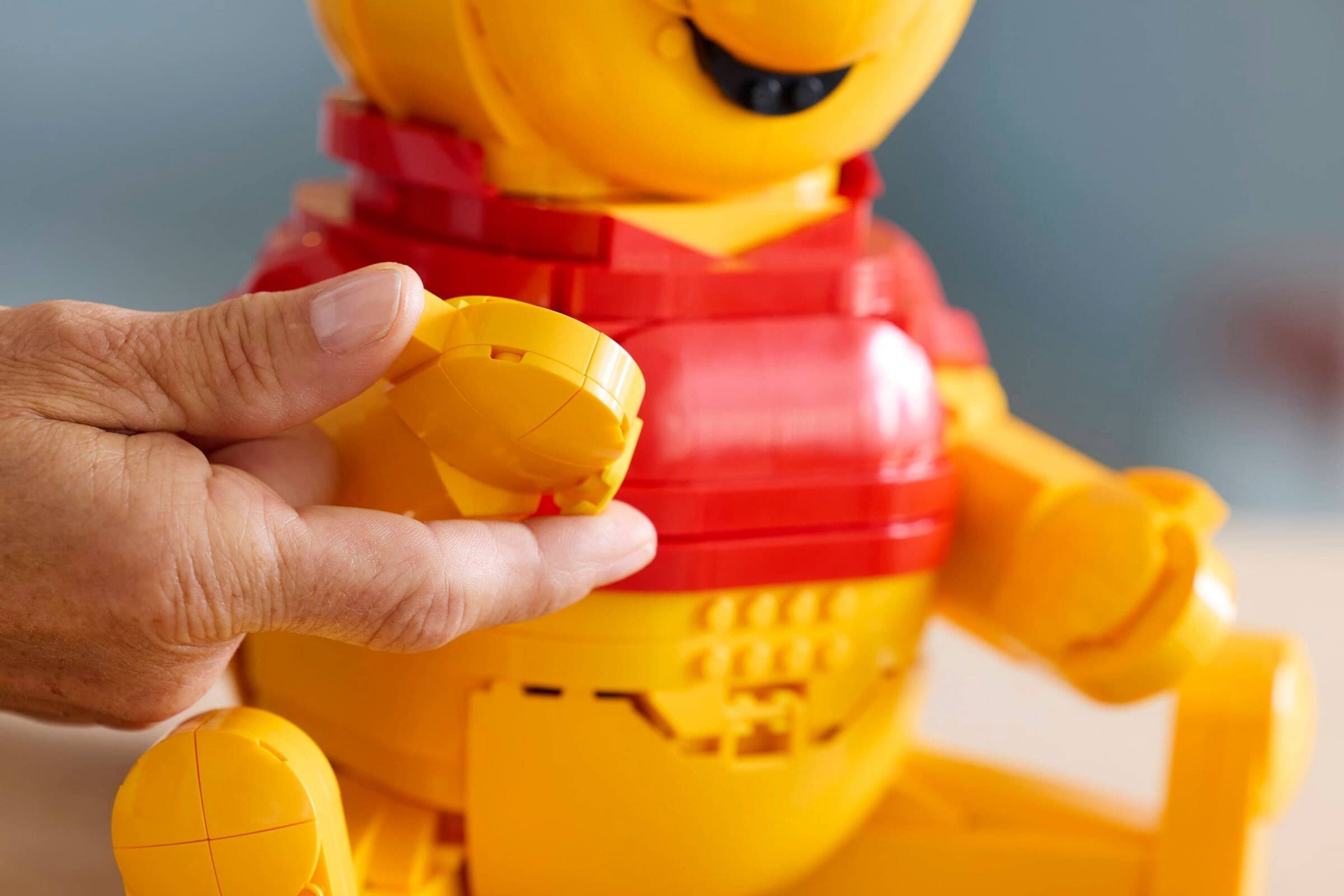 Winnie the Pooh